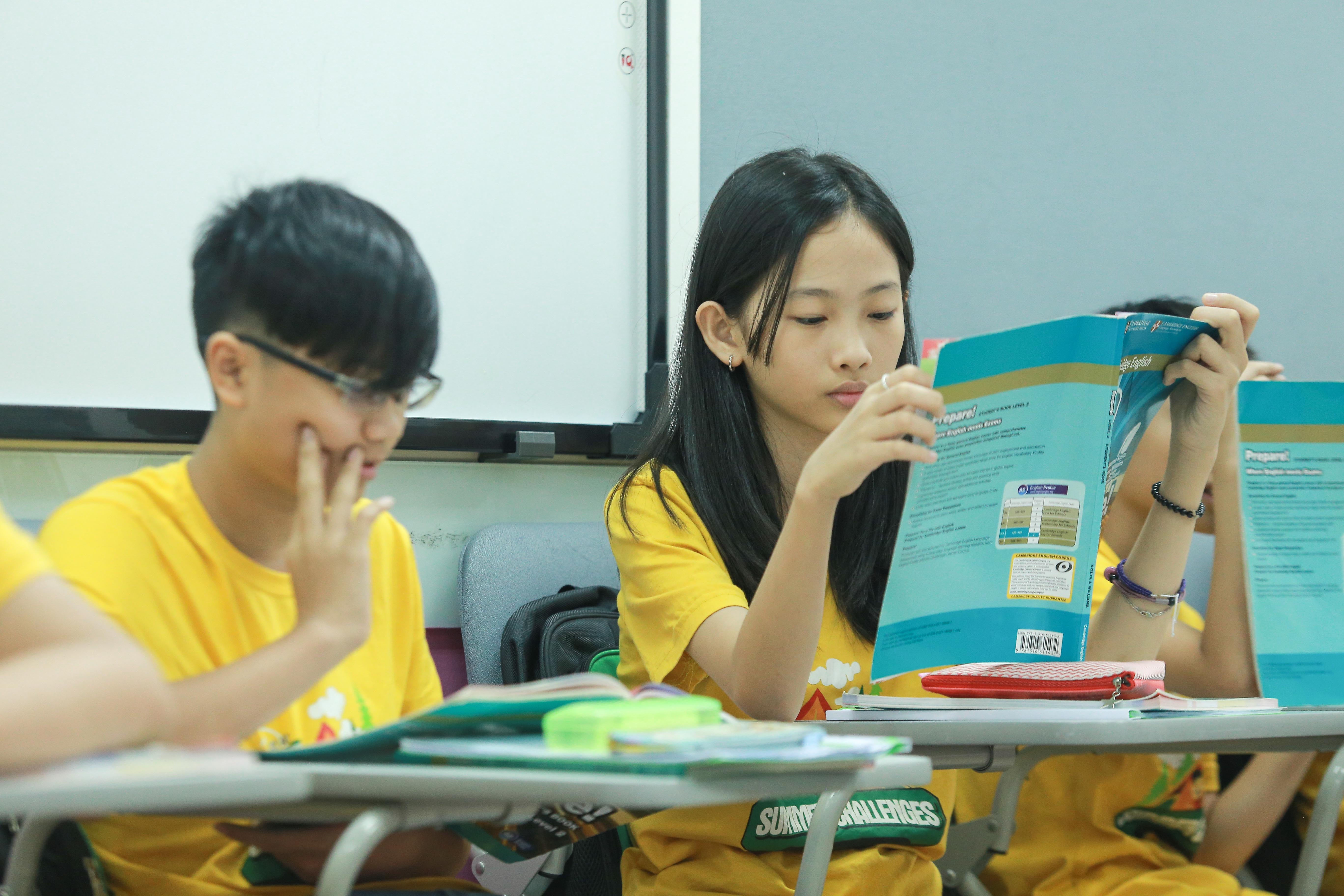 Language Link Academic mo lop on tap ngu phap he cho hoc sinh cap 2 hinh anh