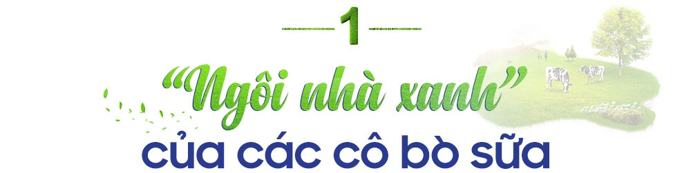 Vinamilk ảnh 2 Vinamilk anh 2