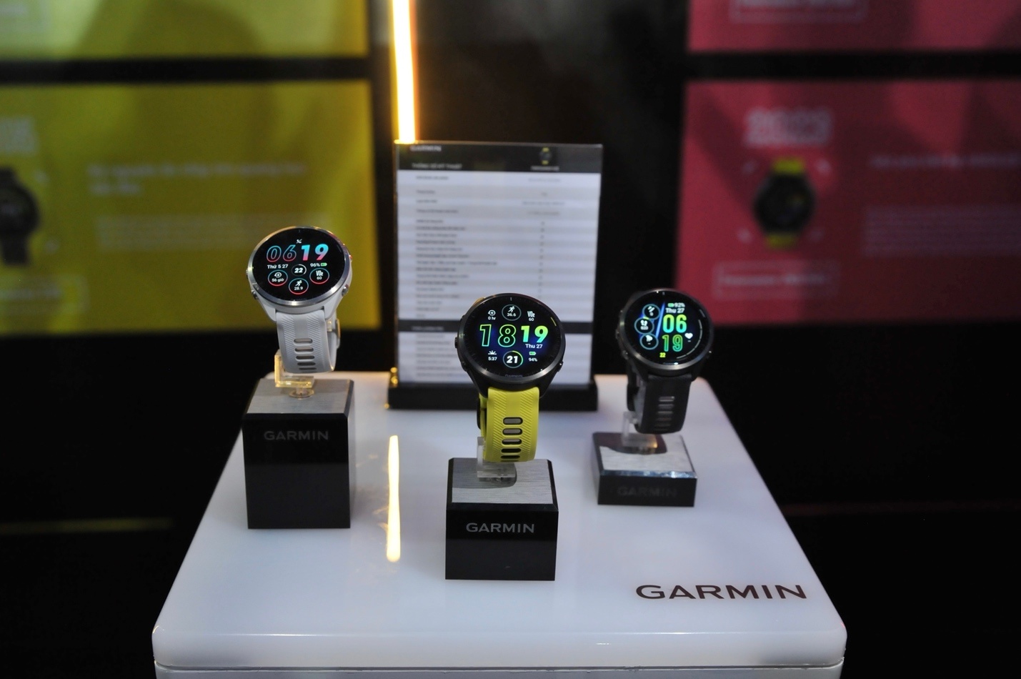 Garmin Viet Nam anh 3