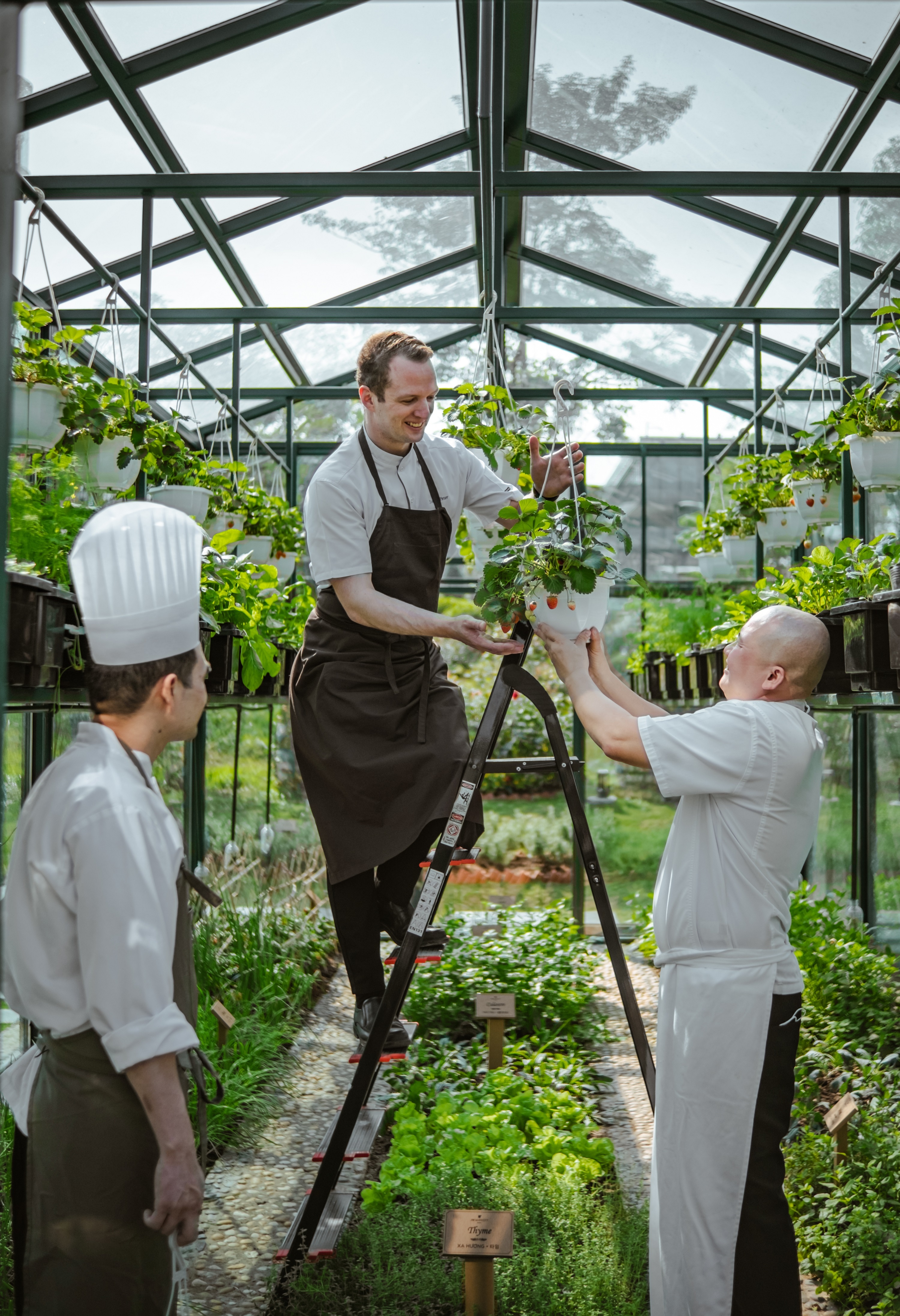 JW Greenhouse,  JW Marriott Phu Quoc anh 5