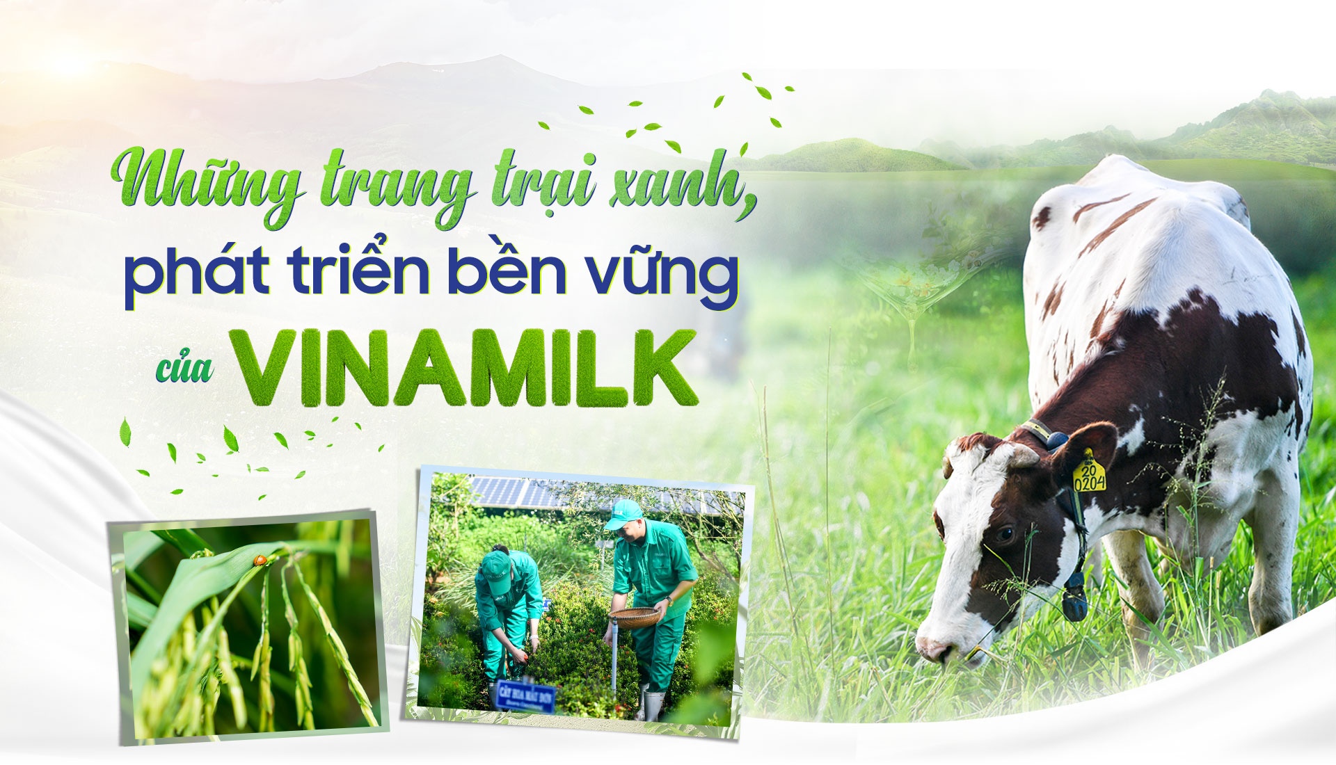 Vinamilk ảnh 1 Vinamilk anh 1