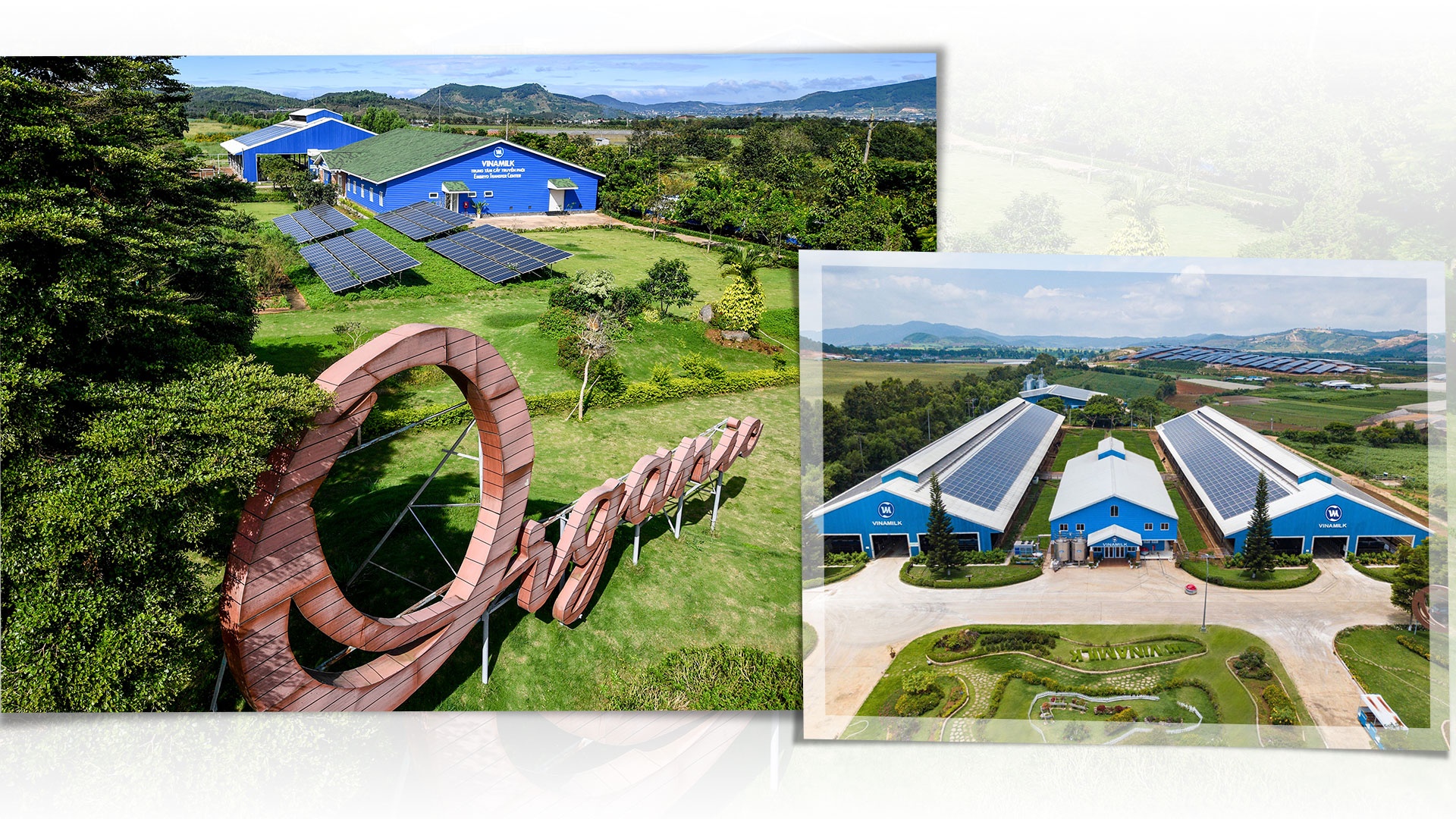 Vinamilk ảnh 11 Vinamilk anh 11