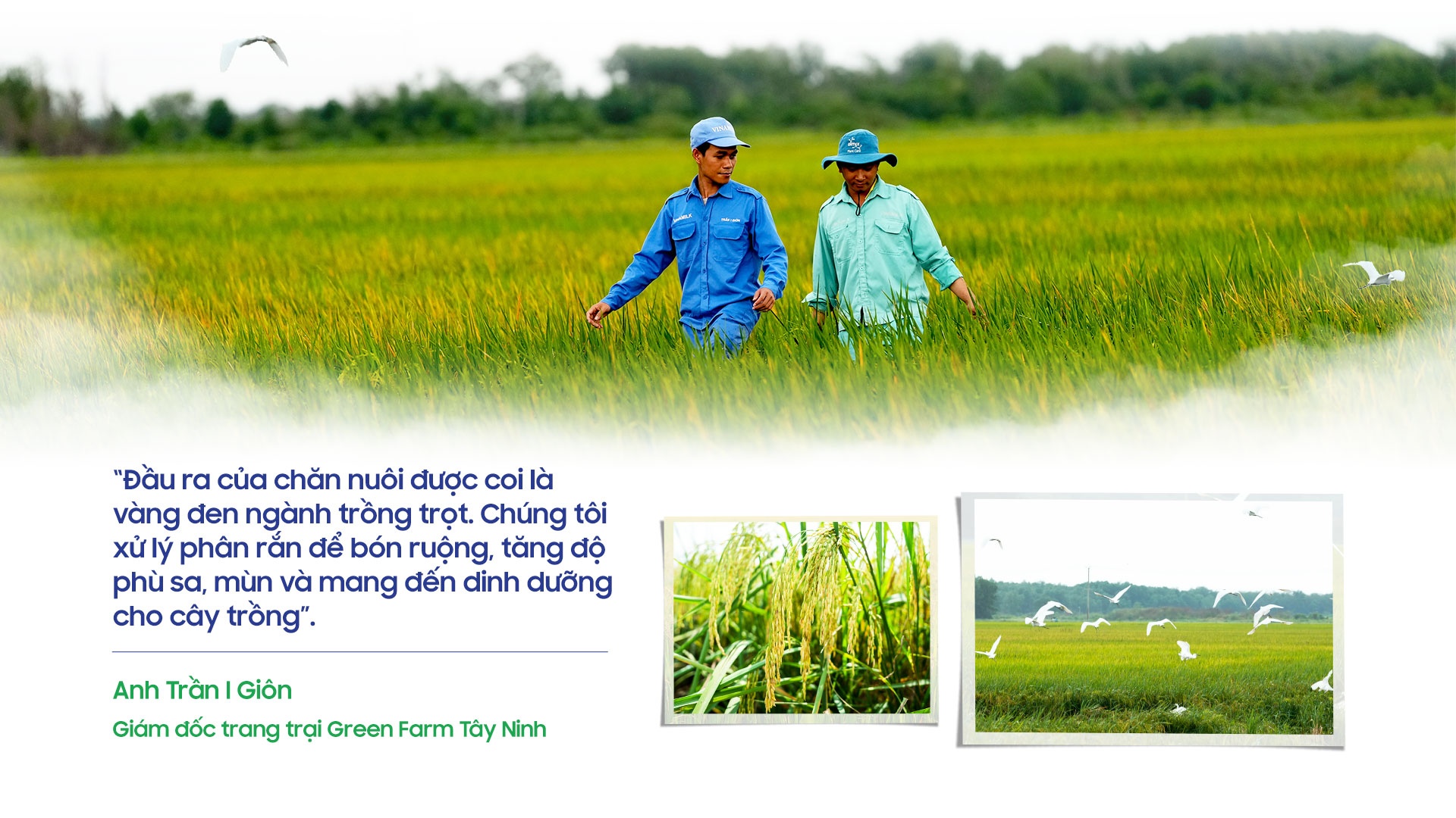 Vinamilk ảnh 4 Vinamilk anh 4