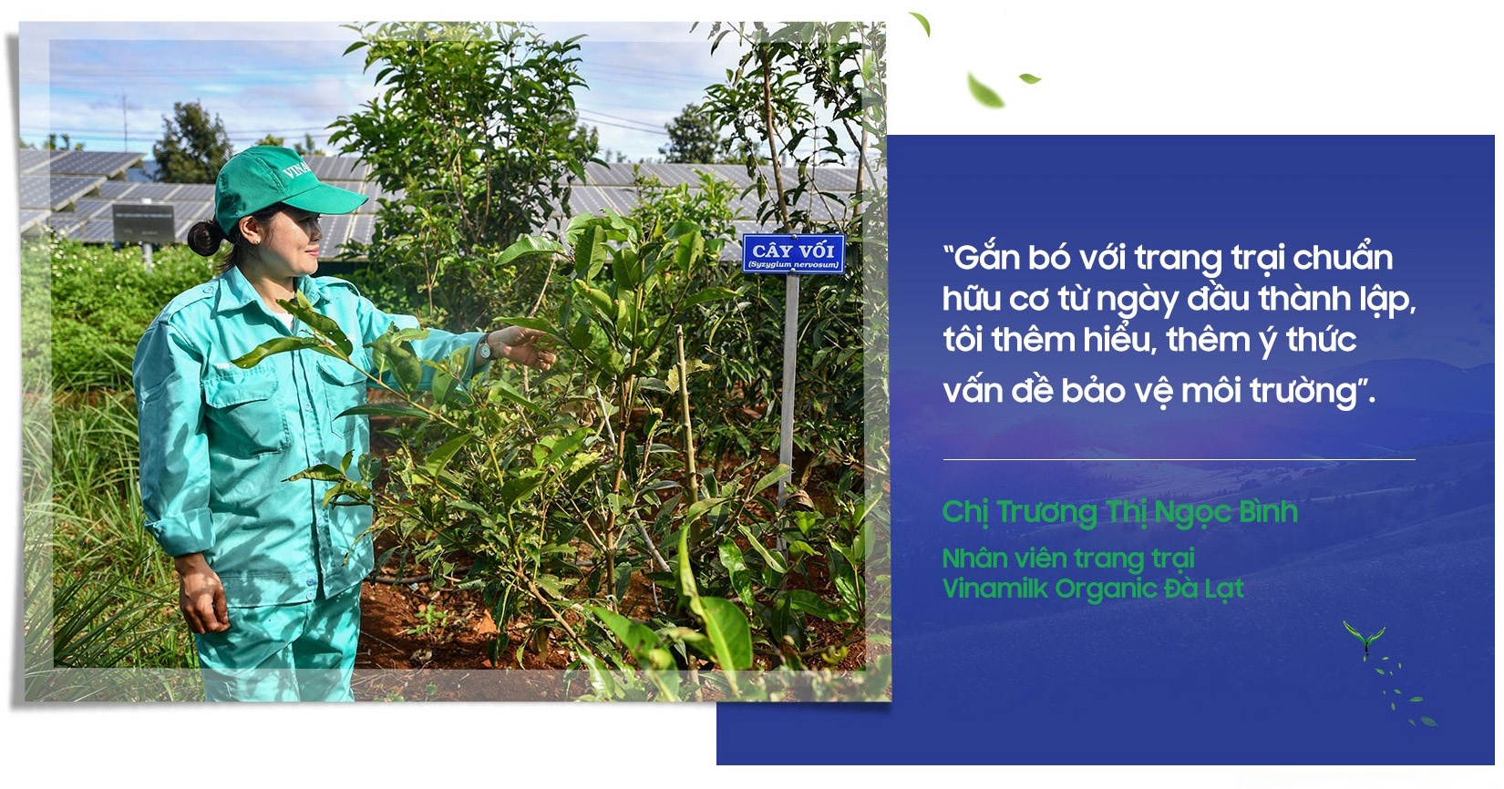 Vinamilk ảnh 12 Vinamilk anh 12