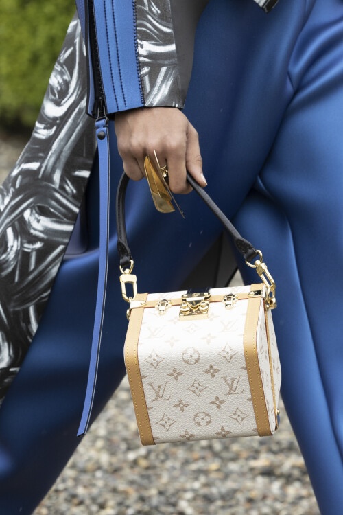Louis Vuitton ảnh 22 Louis Vuitton anh 22