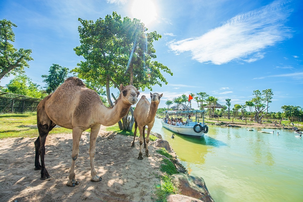 VinWonders,  Nam Hội An ảnh 9 VinWonders,  Nam Hoi An anh 9