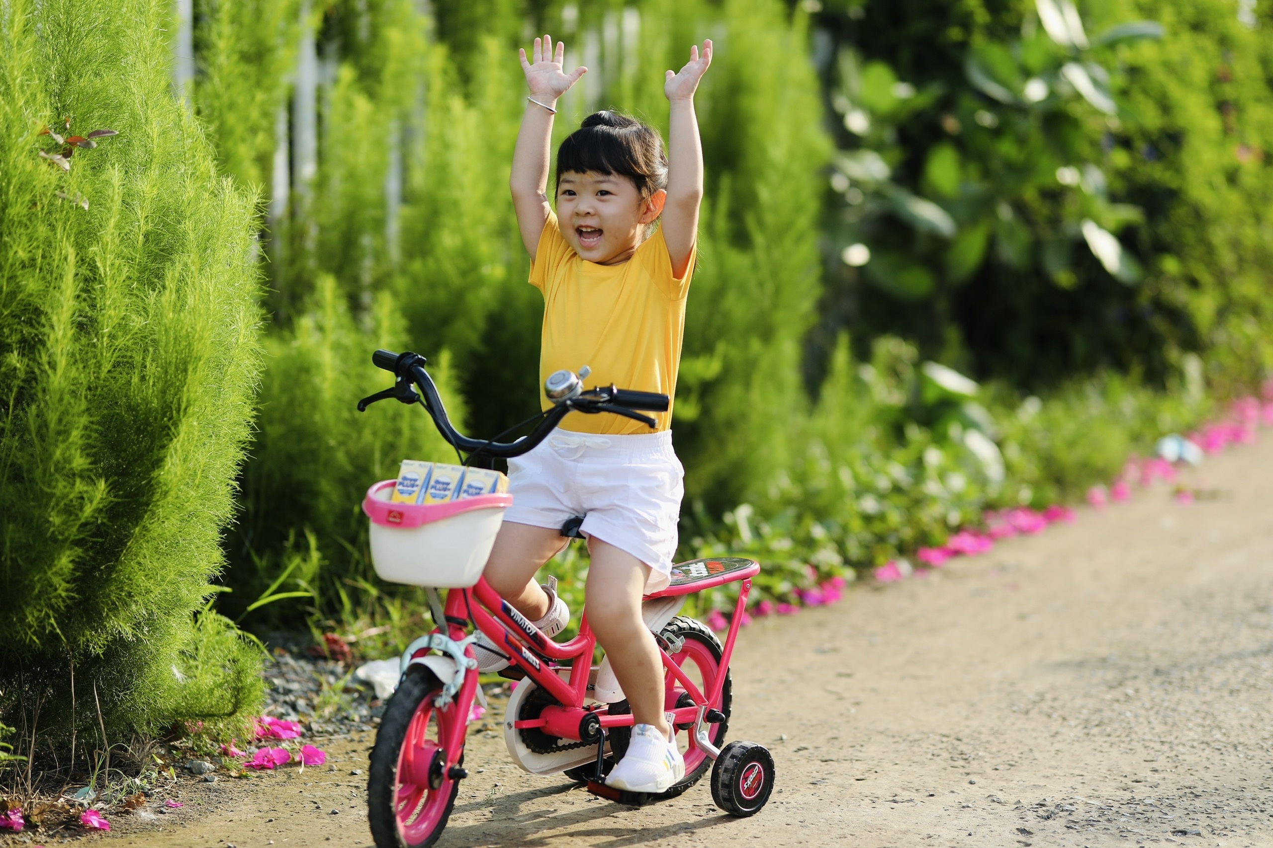 Nutifood Thuy Dien,  NNRIS anh 1