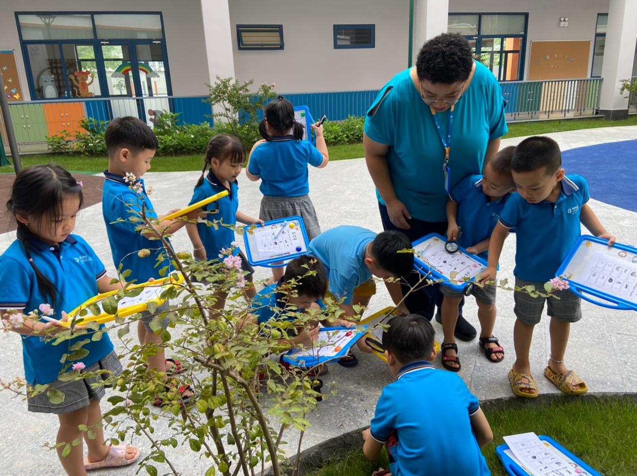 Himlamis ảnh 2 Himlamis anh 2
