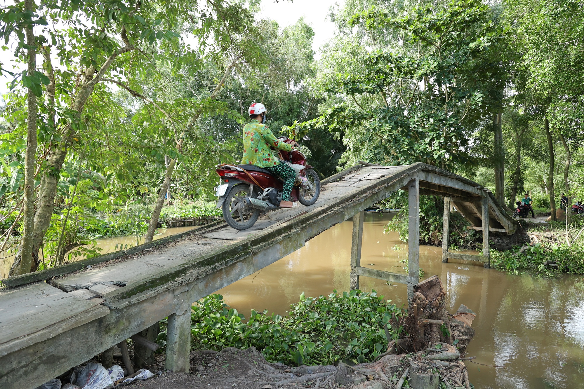 Quy Nam Phuong,  Nam Phuong Foundation anh 1