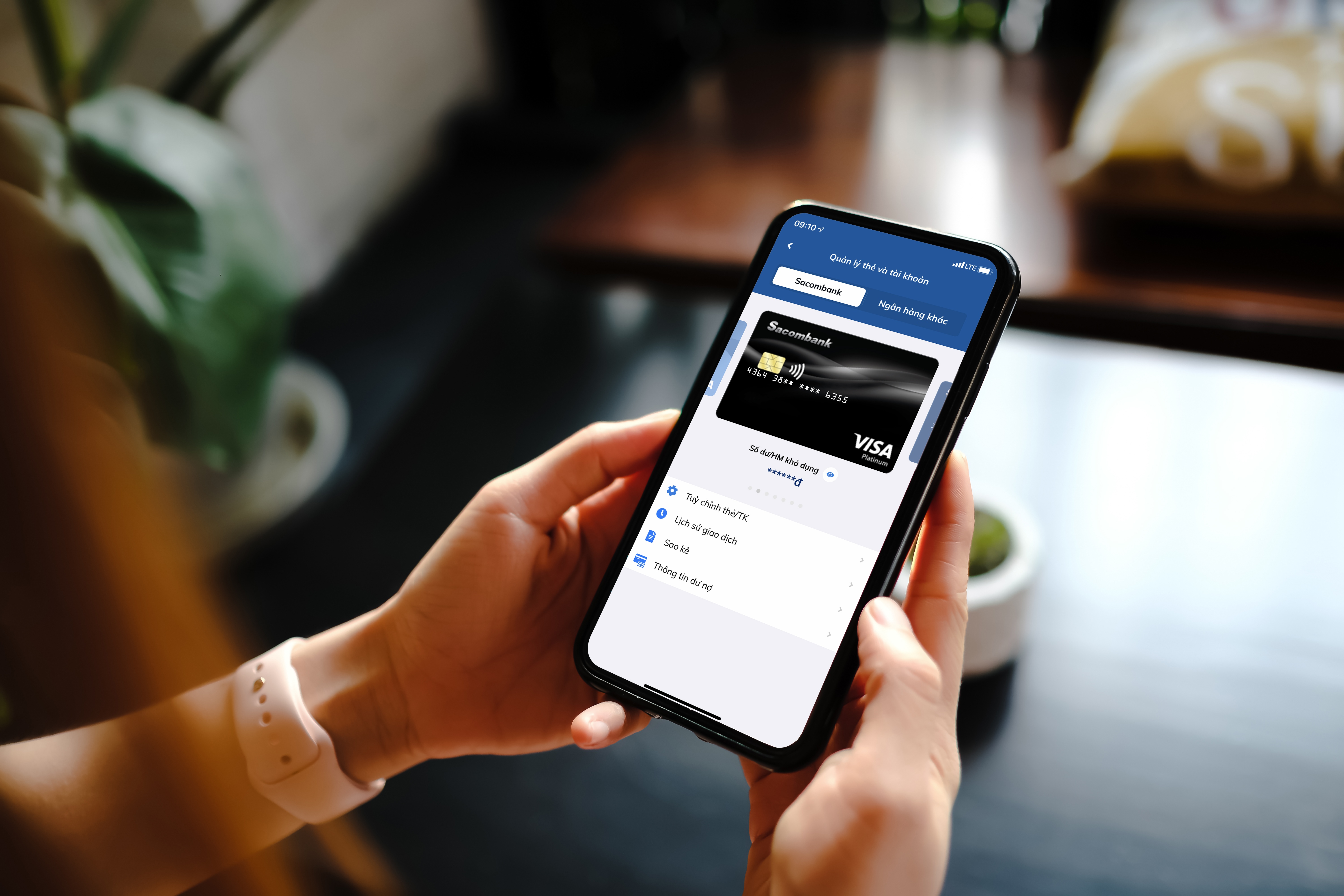 Sacombank anh 2