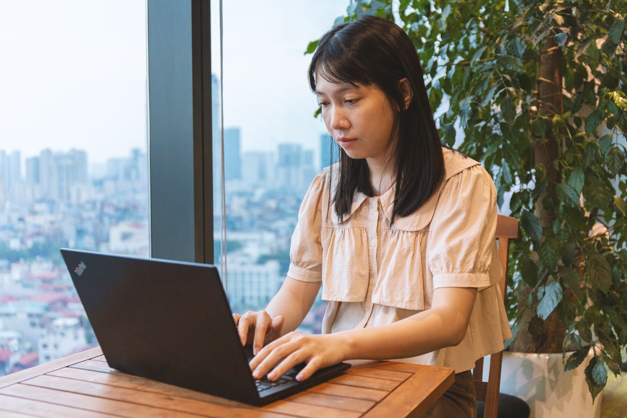 săn sale ảnh 3 san sale anh 3