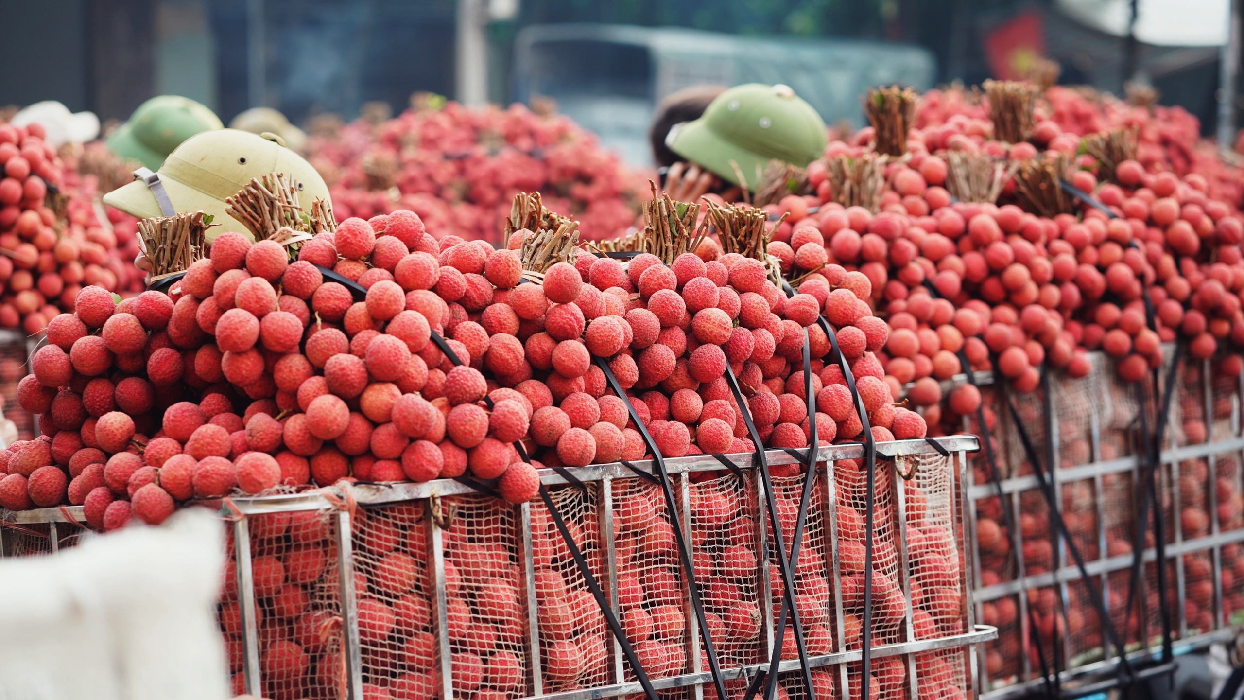 Cho 'so' - giai phap cong nghe cho nhu cau hien dai hinh anh