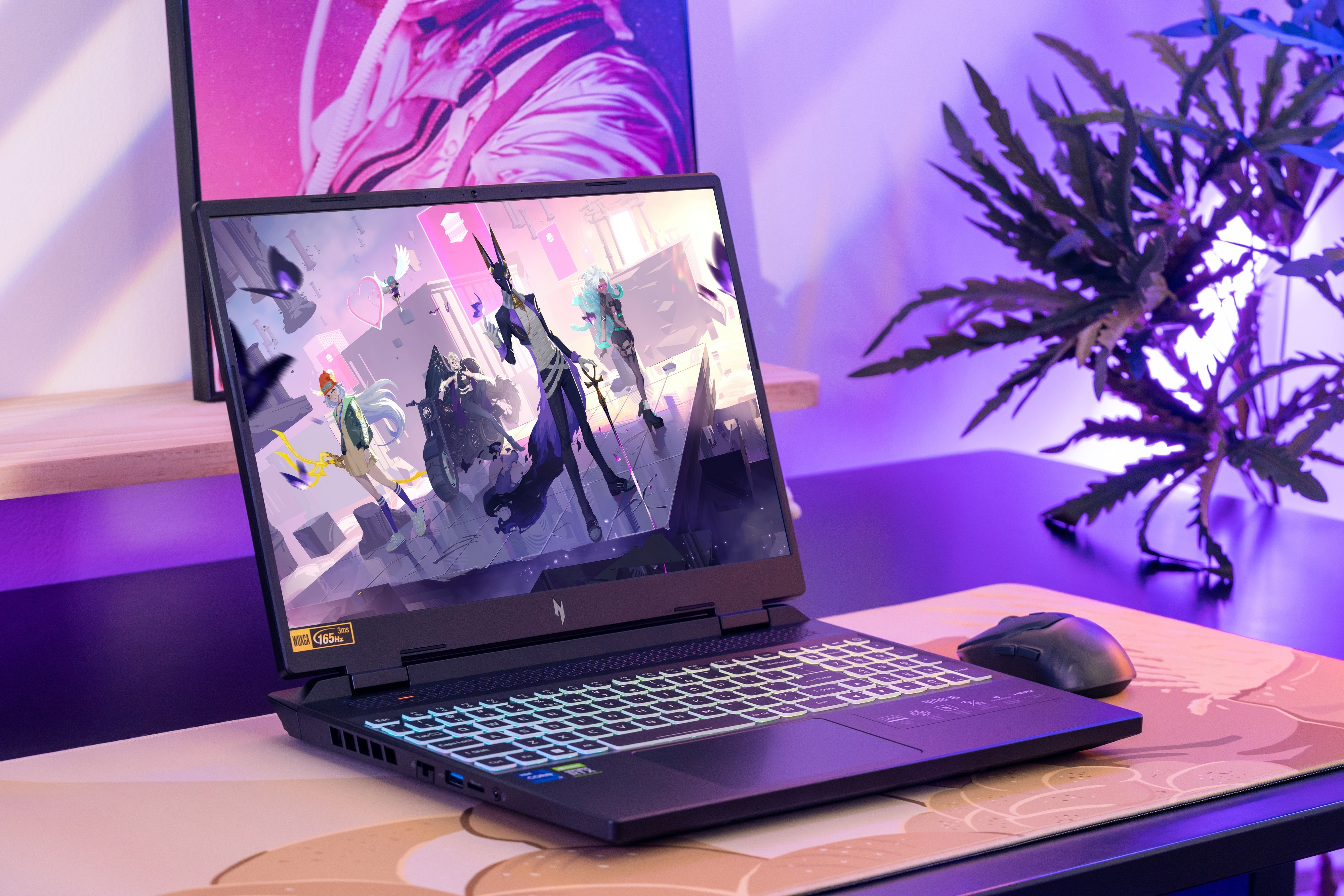 Acer ảnh 1 Acer anh 1