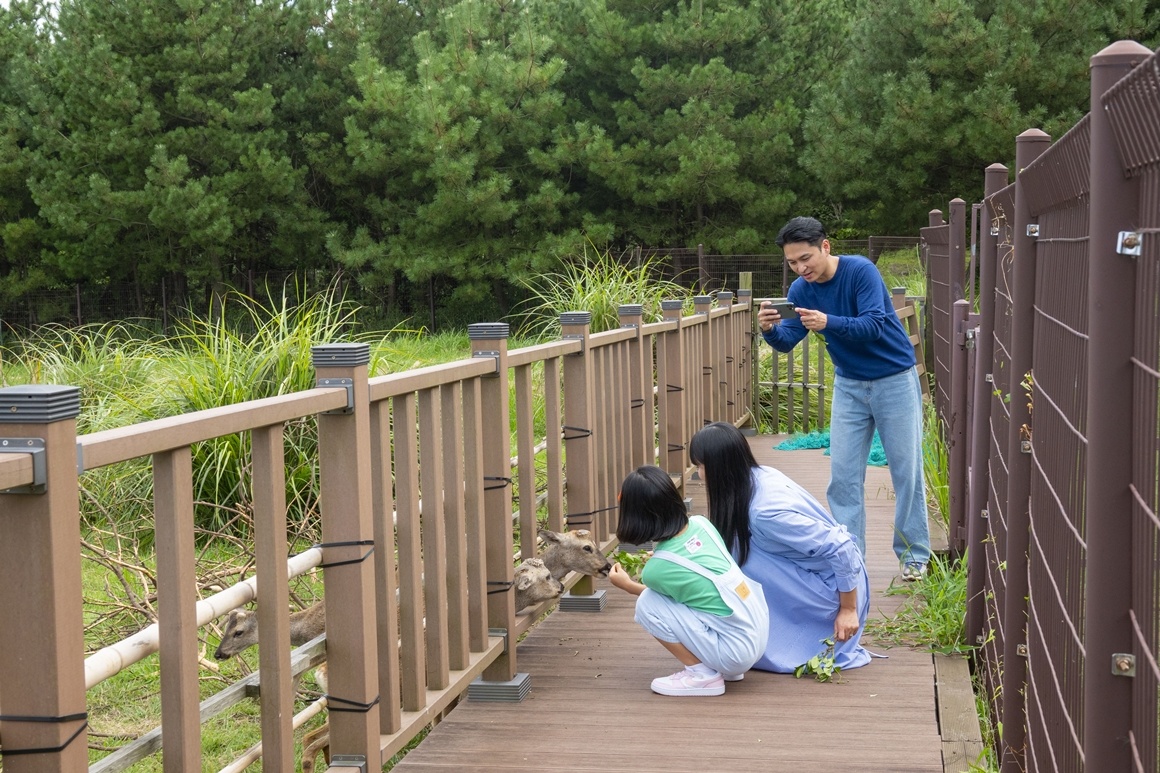 du lịch Jeju ảnh 2 du lich Jeju anh 2