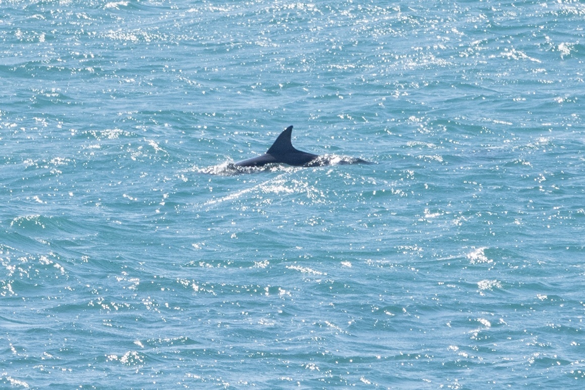 du lịch Jeju ảnh 4 du lich Jeju anh 4