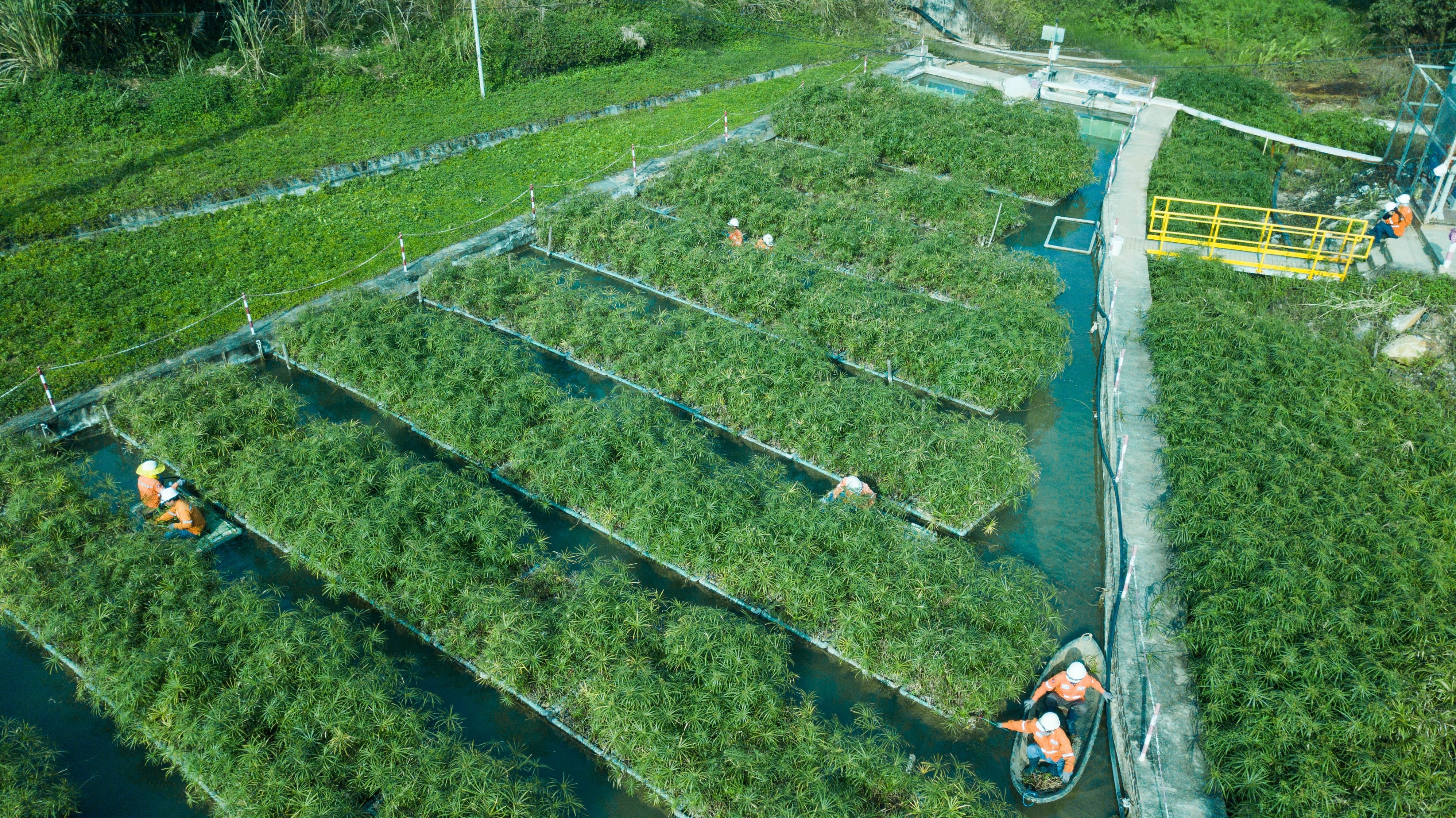 Hang tieu dung Masan anh 5