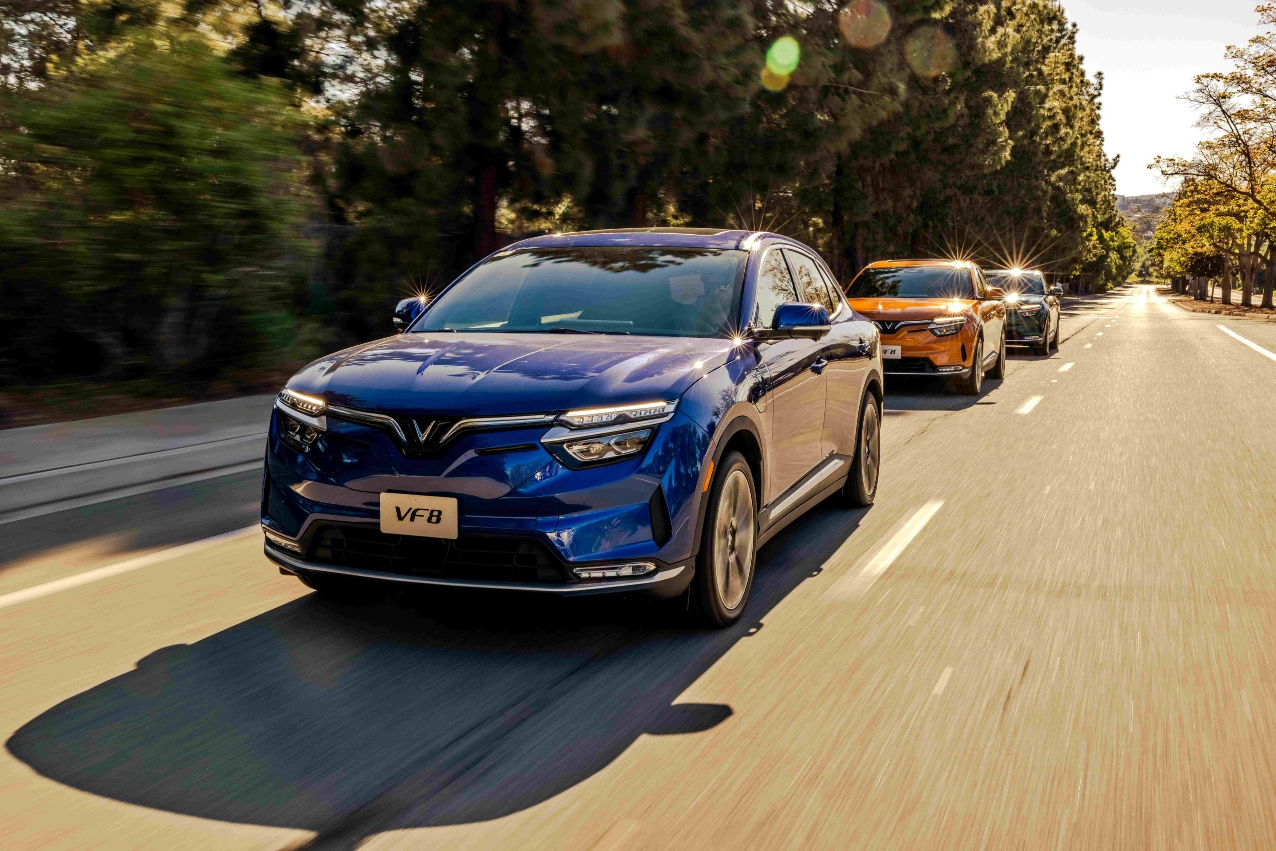 VinFast ky ket voi cac dai ly doc lap dau tien tai My hinh anh