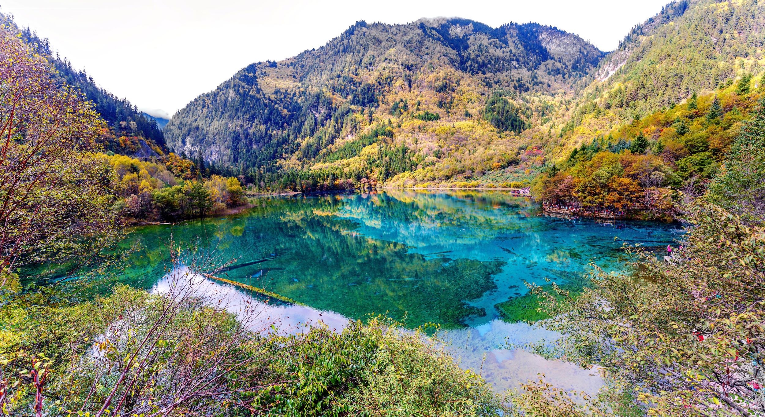 Vietjet ảnh 2 Vietjet anh 2