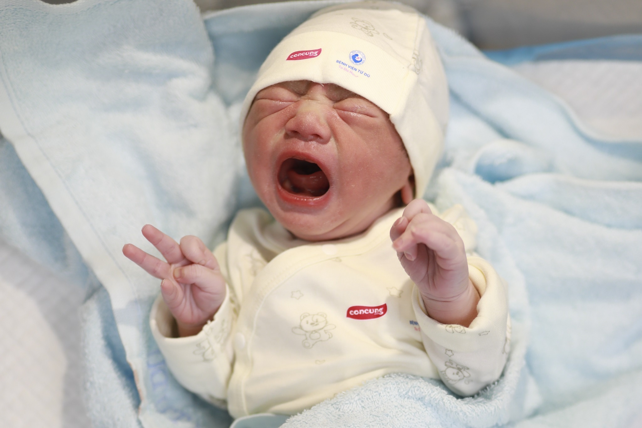 Nhung cong dan Giap Thin dau tien chao doi trong thoi khac giao thua hinh anh