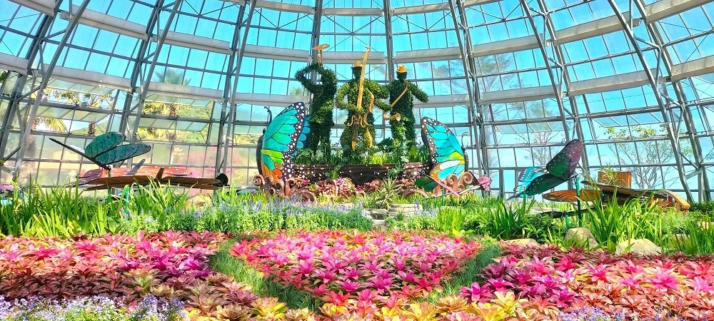 Vinpearl ảnh 4 Vinpearl anh 4