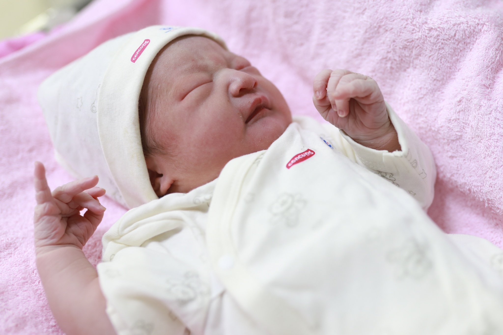 Con Cưng ảnh 12 Con Cung anh 12