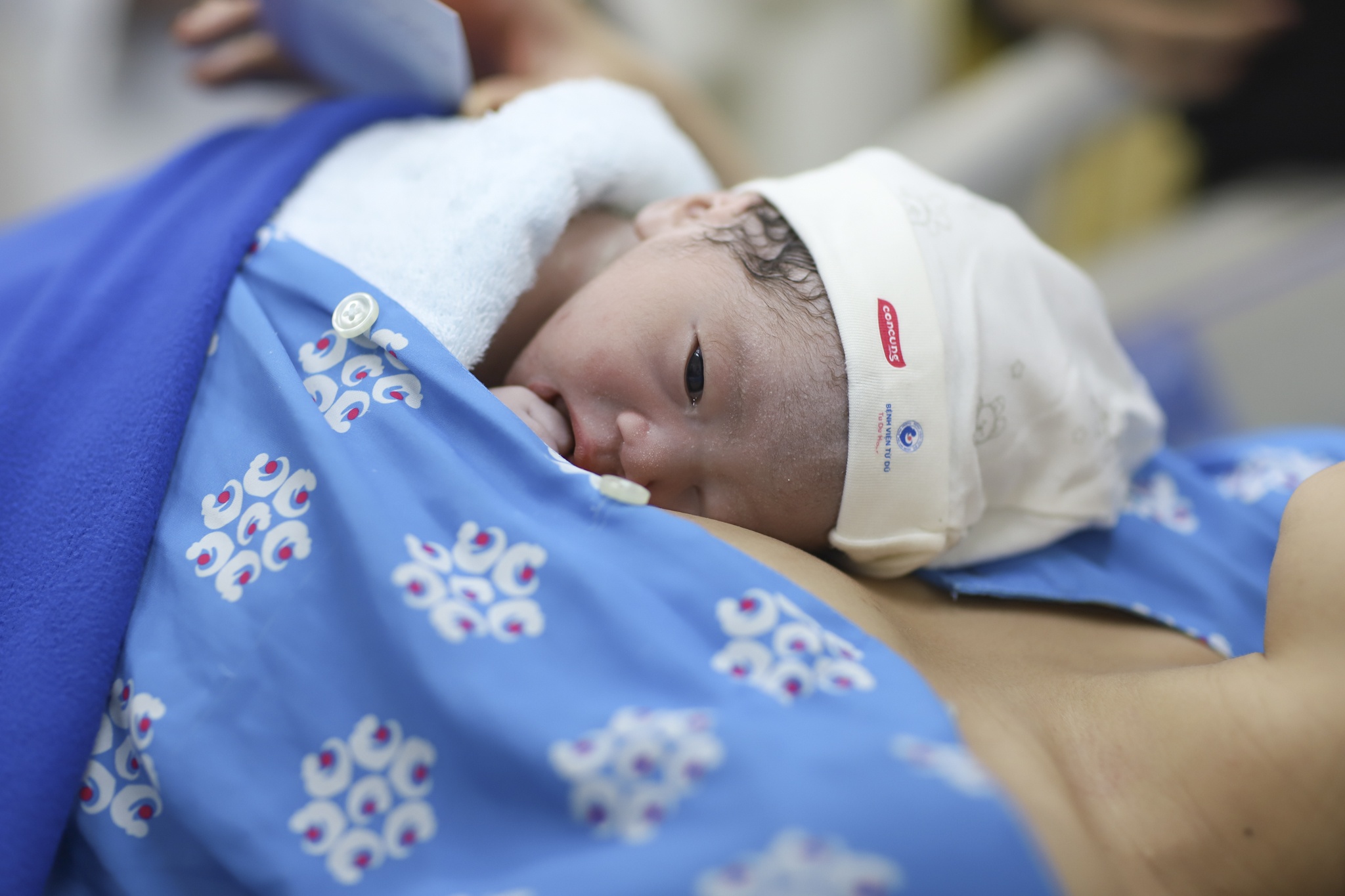 Con Cưng ảnh 21 Con Cung anh 21