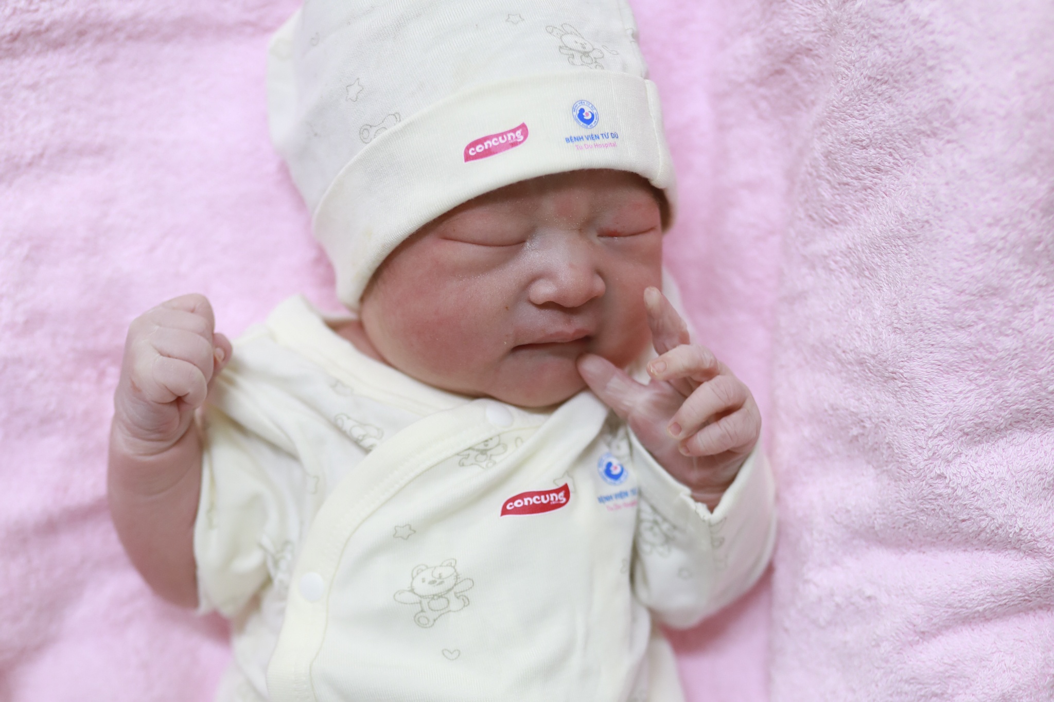 Con Cưng ảnh 11 Con Cung anh 11