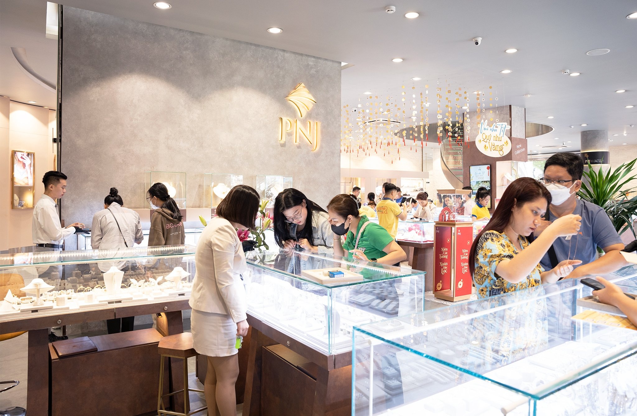 PNJ,  tai co cau anh 6