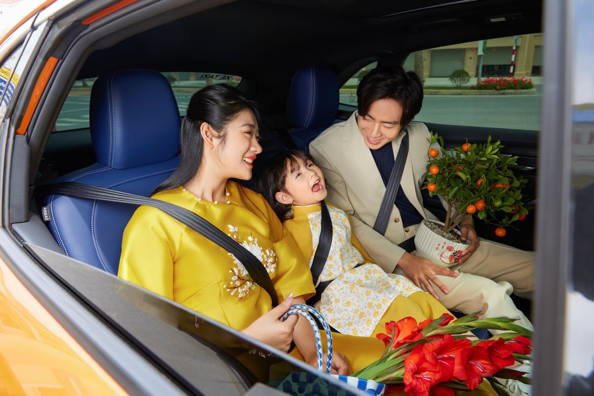 Ly do nguoi dung chon du xuan xanh bang oto dien hinh anh