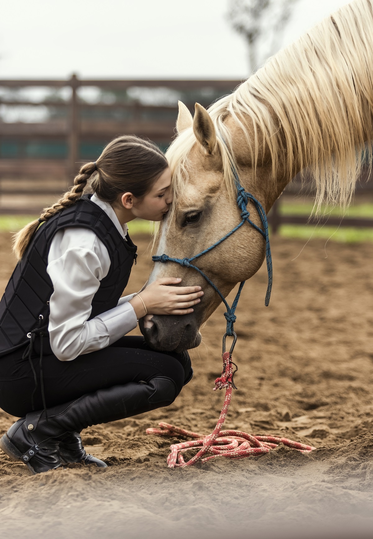 Vinhomes Royal Island ảnh 9 Vinhomes Royal Island anh 9