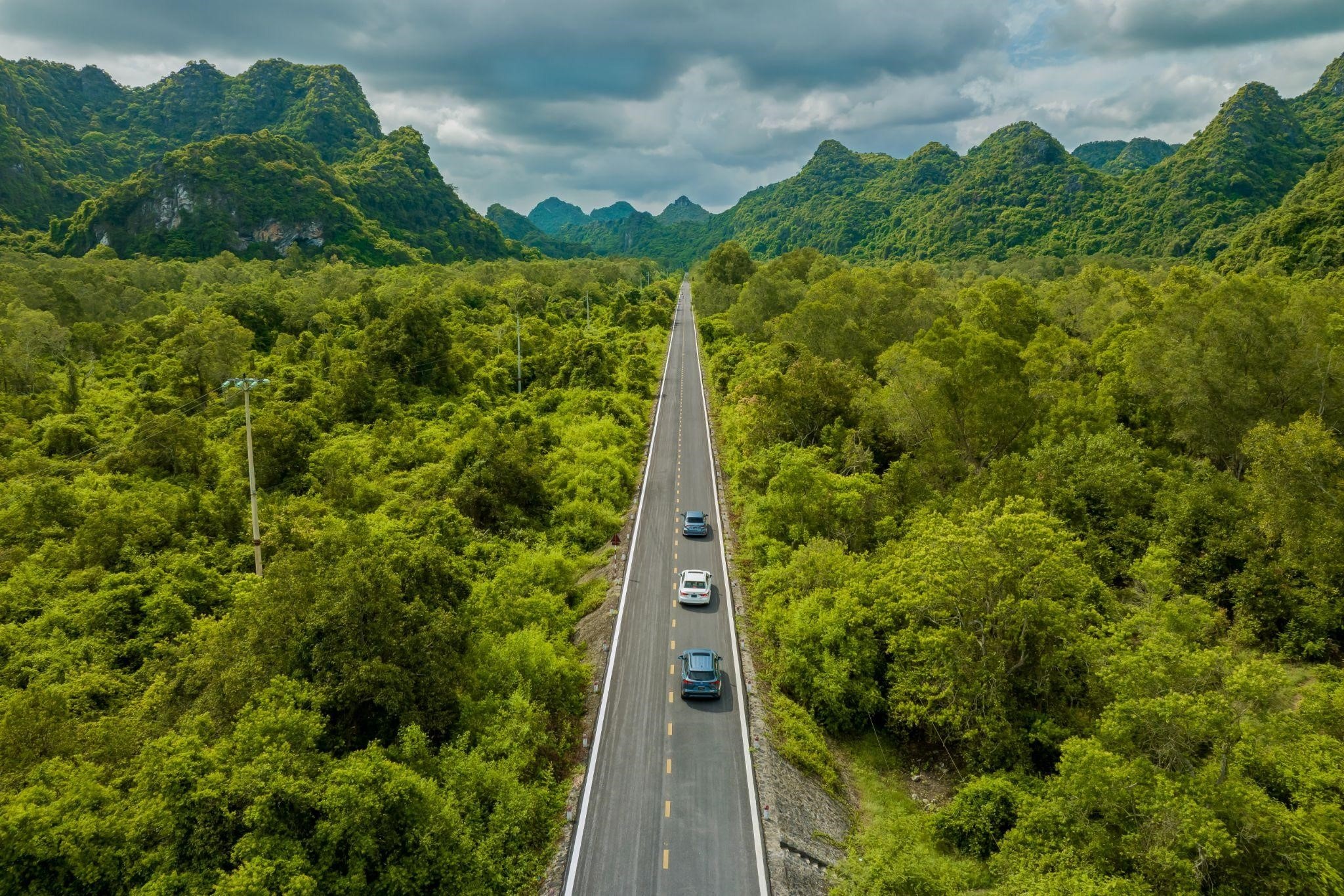 Toyota va cu chuyen minh dung luc hinh anh