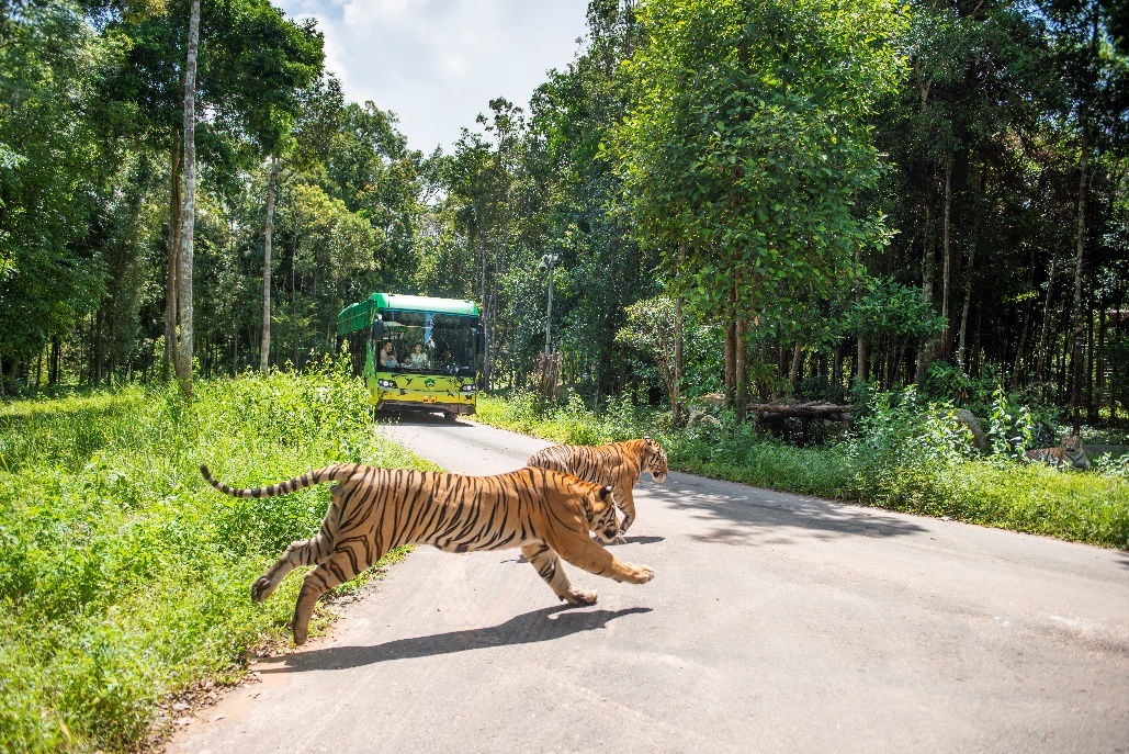 Vinpearl Safari Phu Quoc anh 1