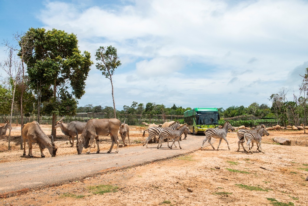 Vinpearl Safari Phu Quoc anh 2