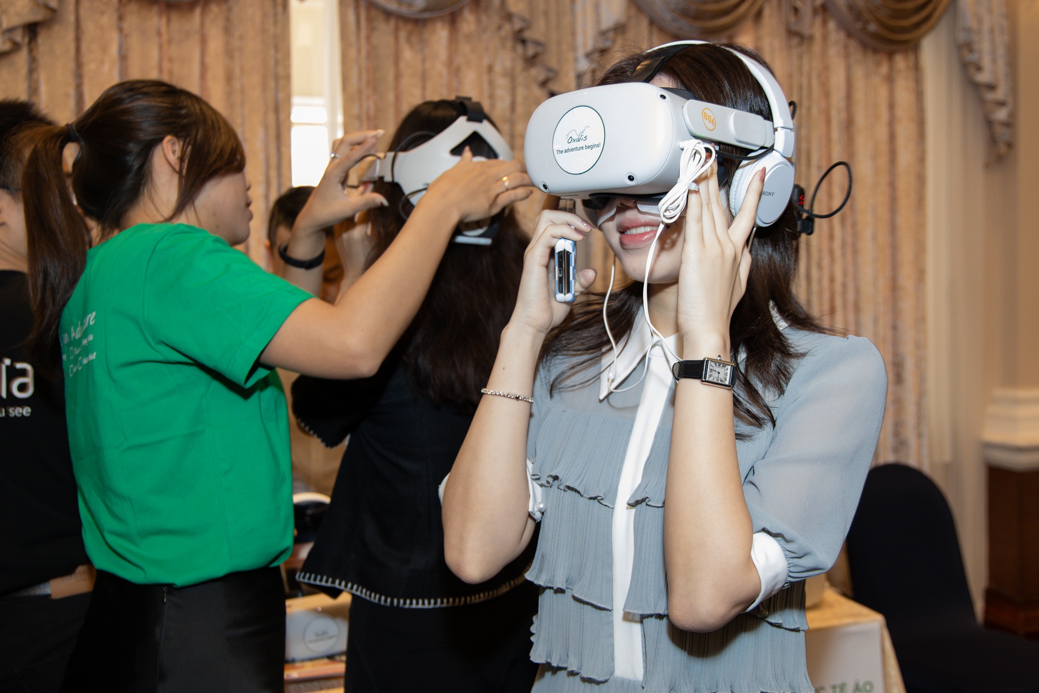 Oxalis ảnh 13 Oxalis anh 13