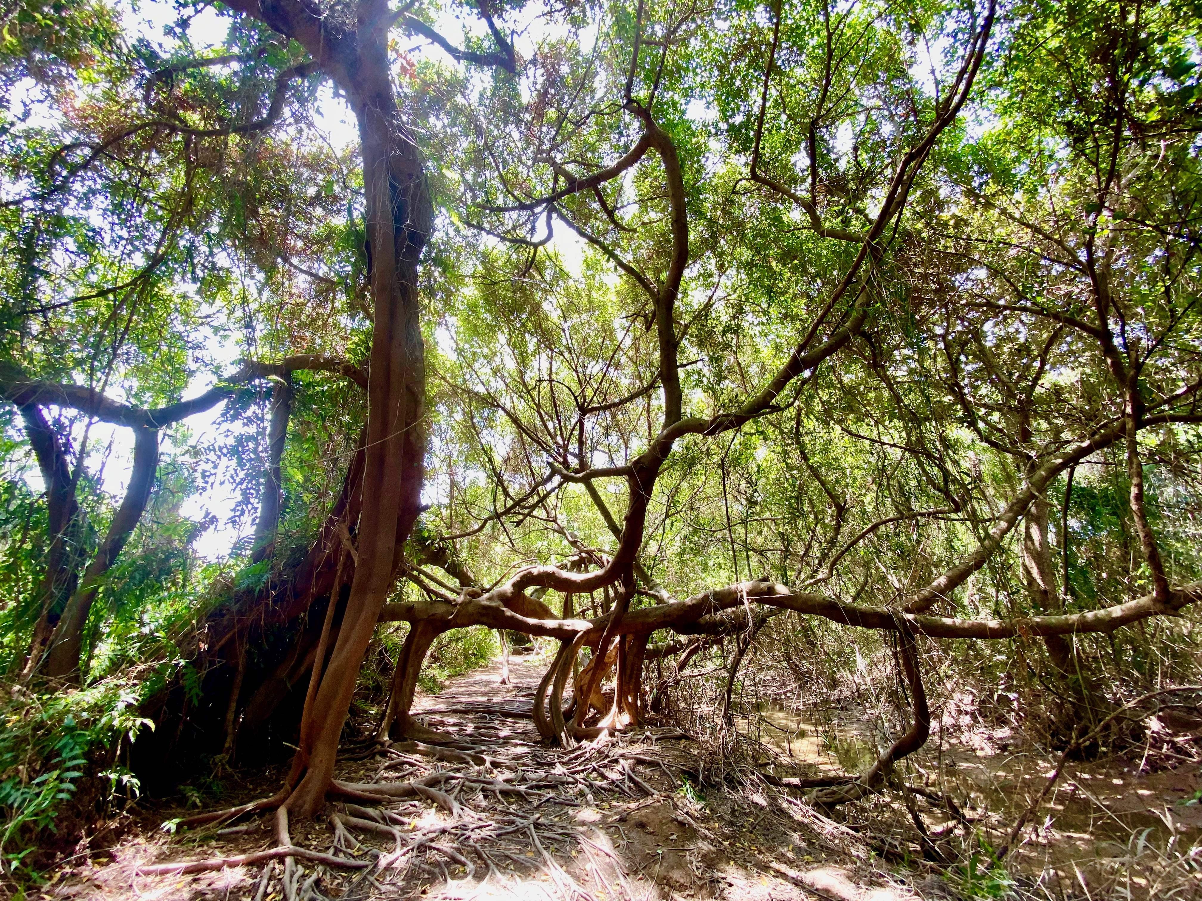 VinaEcolife Lodge anh 6