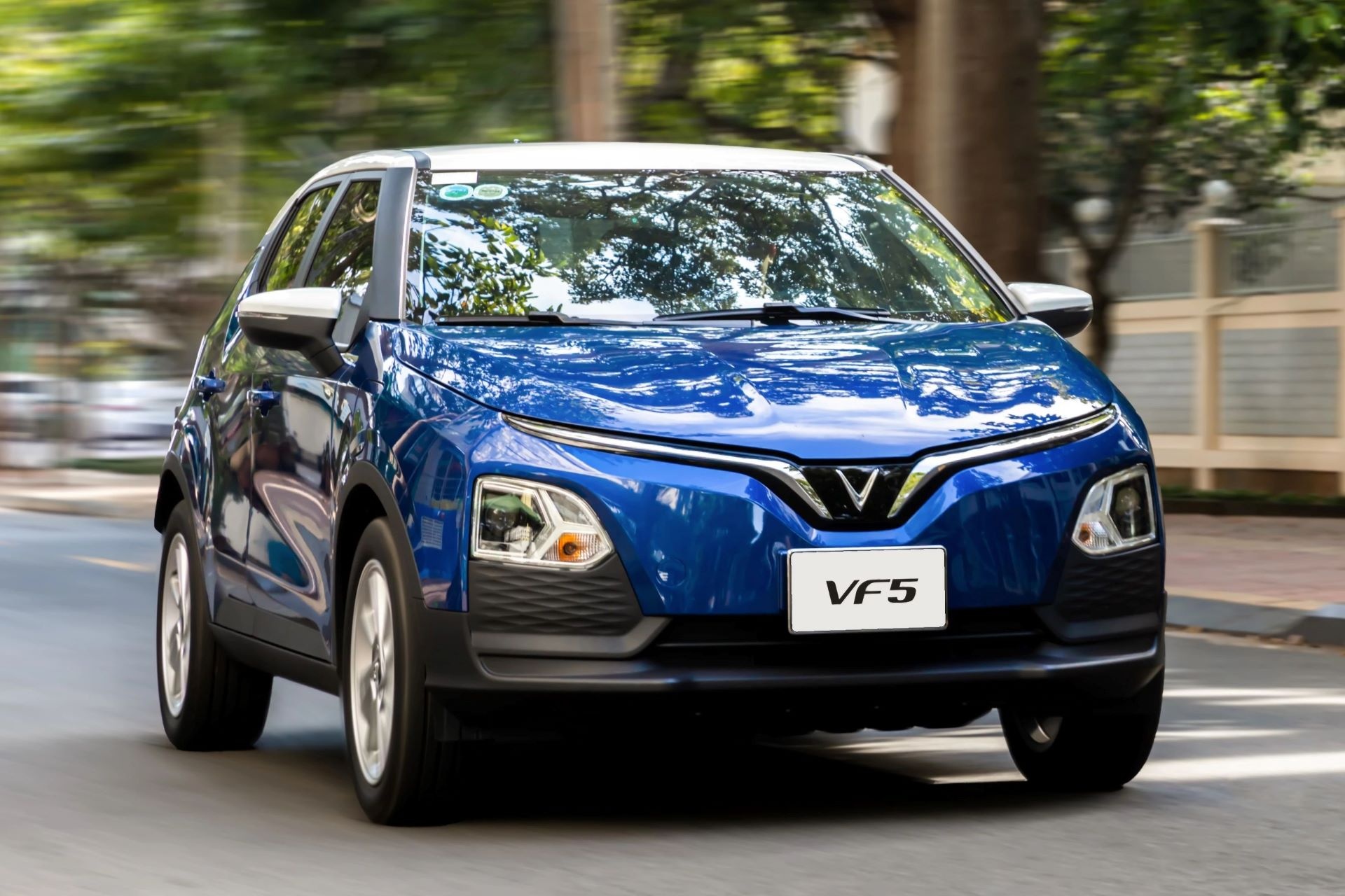 Chu xe dien khoe thanh tich ‘trong cay’ tren ung dung VinFast hinh anh