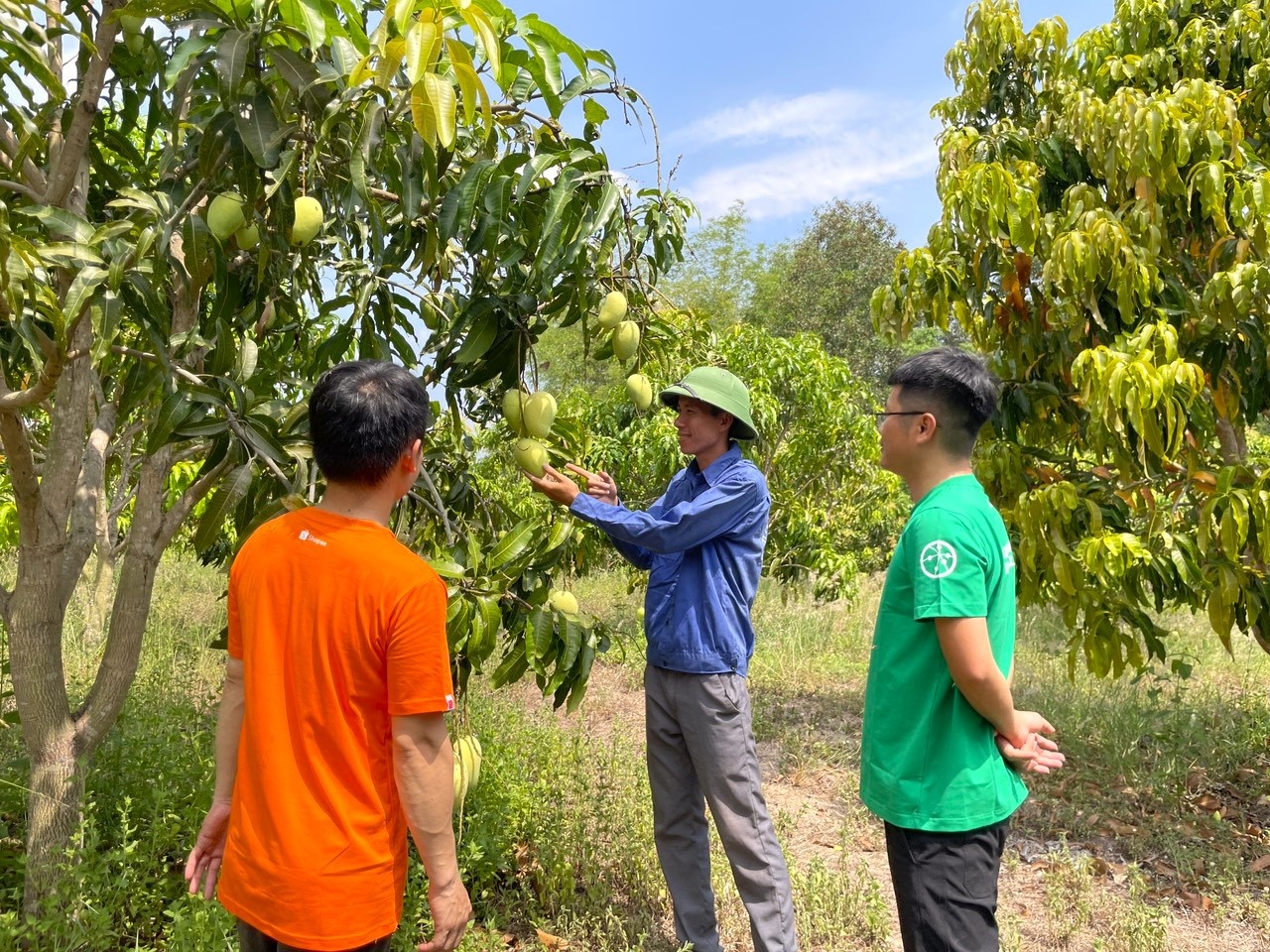 Shopee ảnh 2 Shopee anh 2