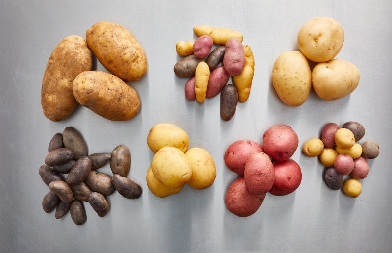 Hiep hoi thit ga anh 2