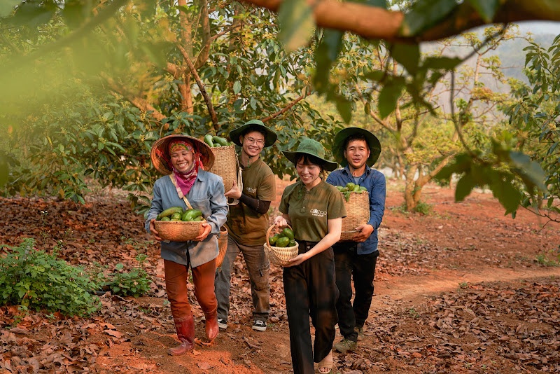 Cỏ mềm ảnh 3 Co mem anh 3