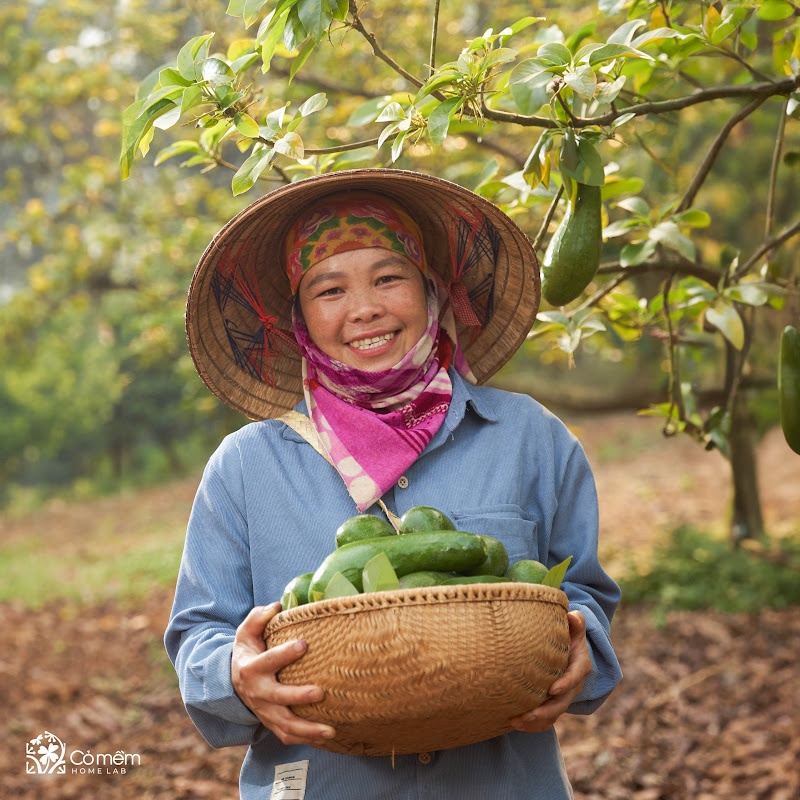 Cỏ mềm ảnh 2 Co mem anh 2