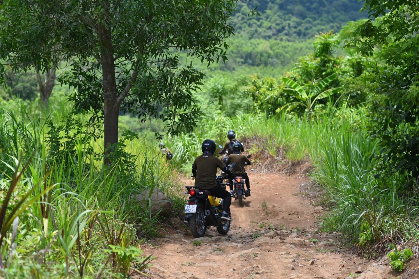 Yamaha PG-1 Fun Ride ảnh 3 Yamaha PG-1 Fun Ride anh 3