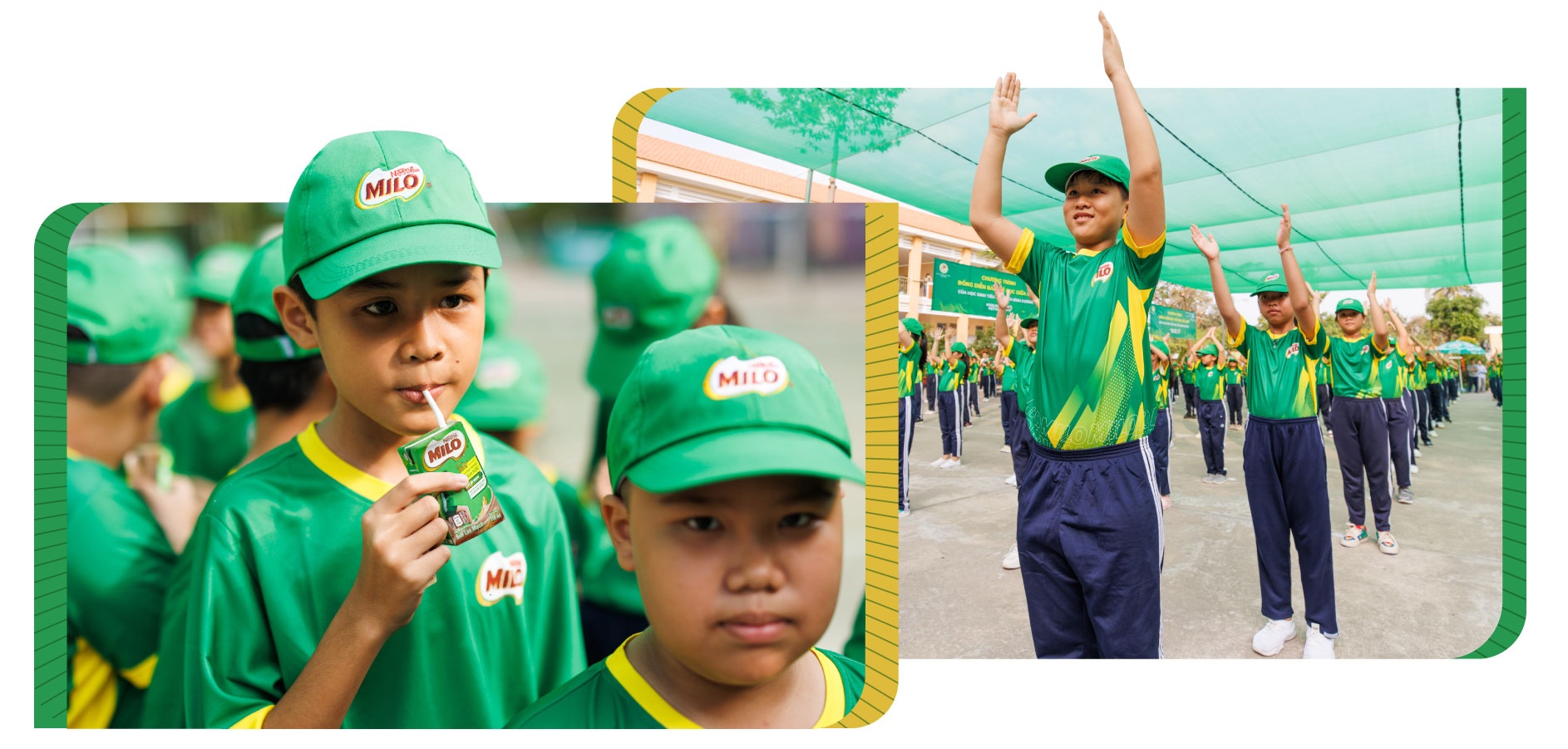 Nestle Viet Nam anh 7