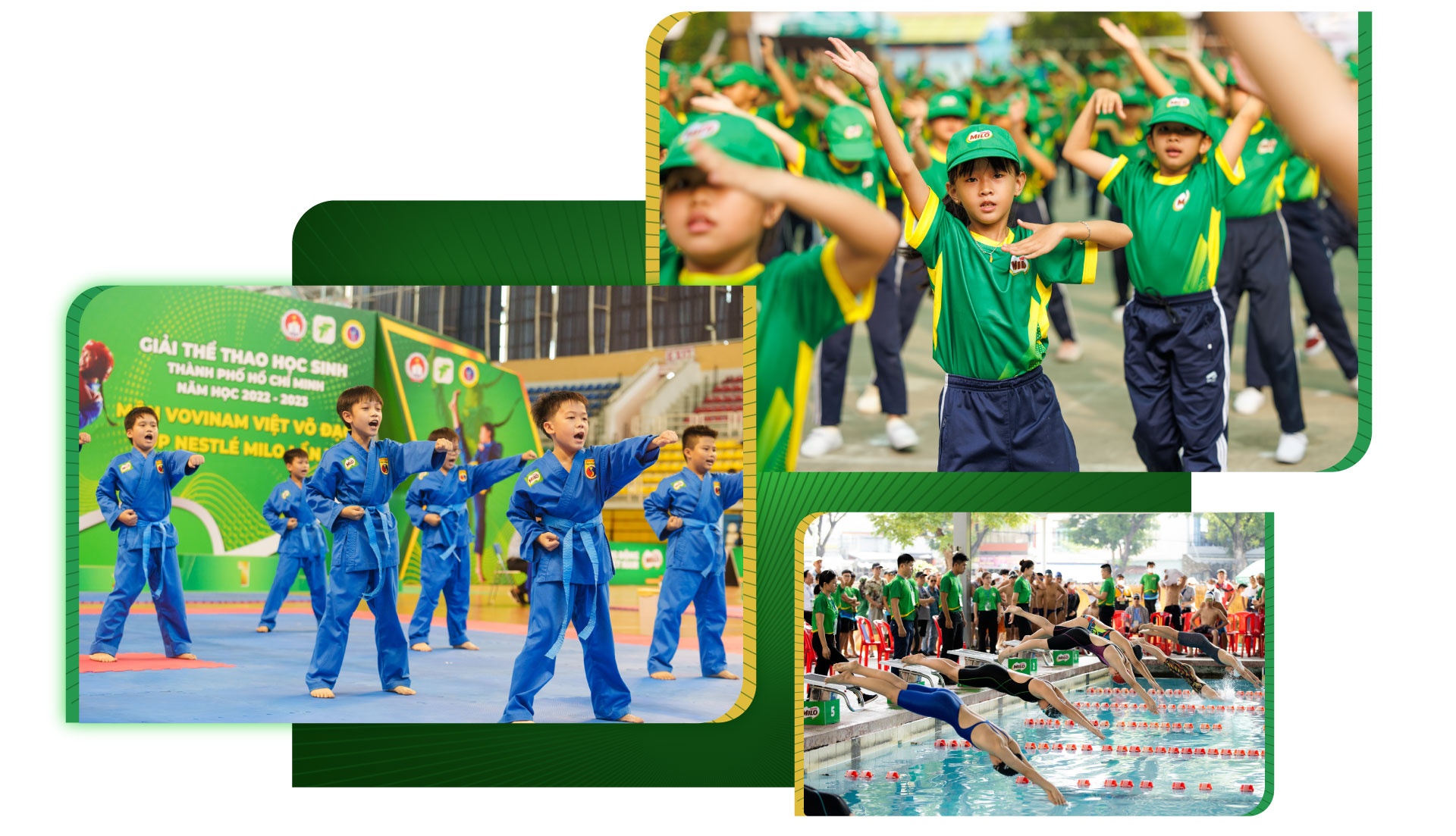 Nestle Viet Nam anh 4