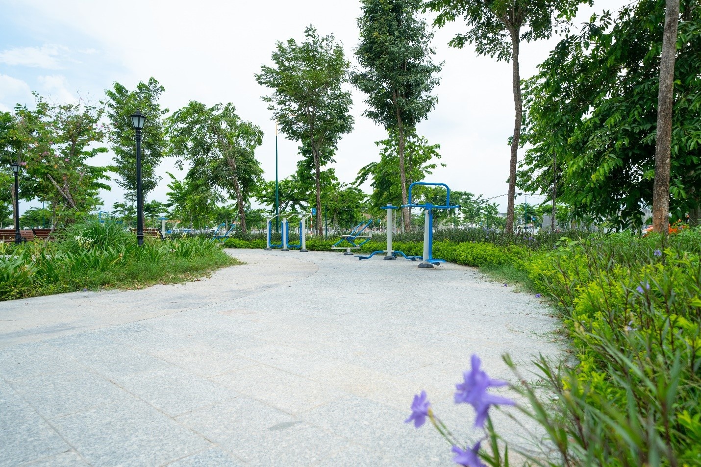 Richland Residence anh 5