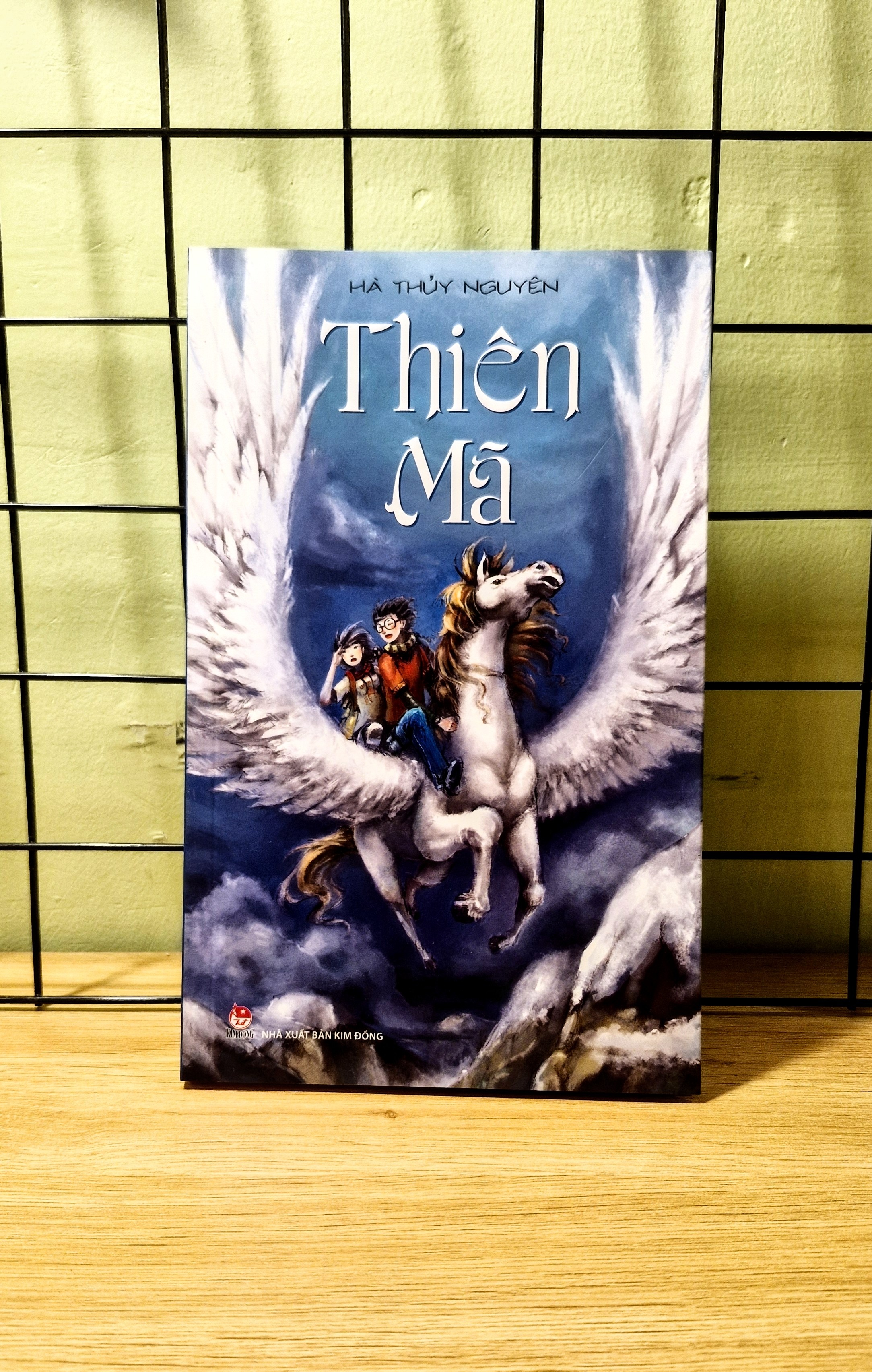 Ha Thuy Nguyen anh 4