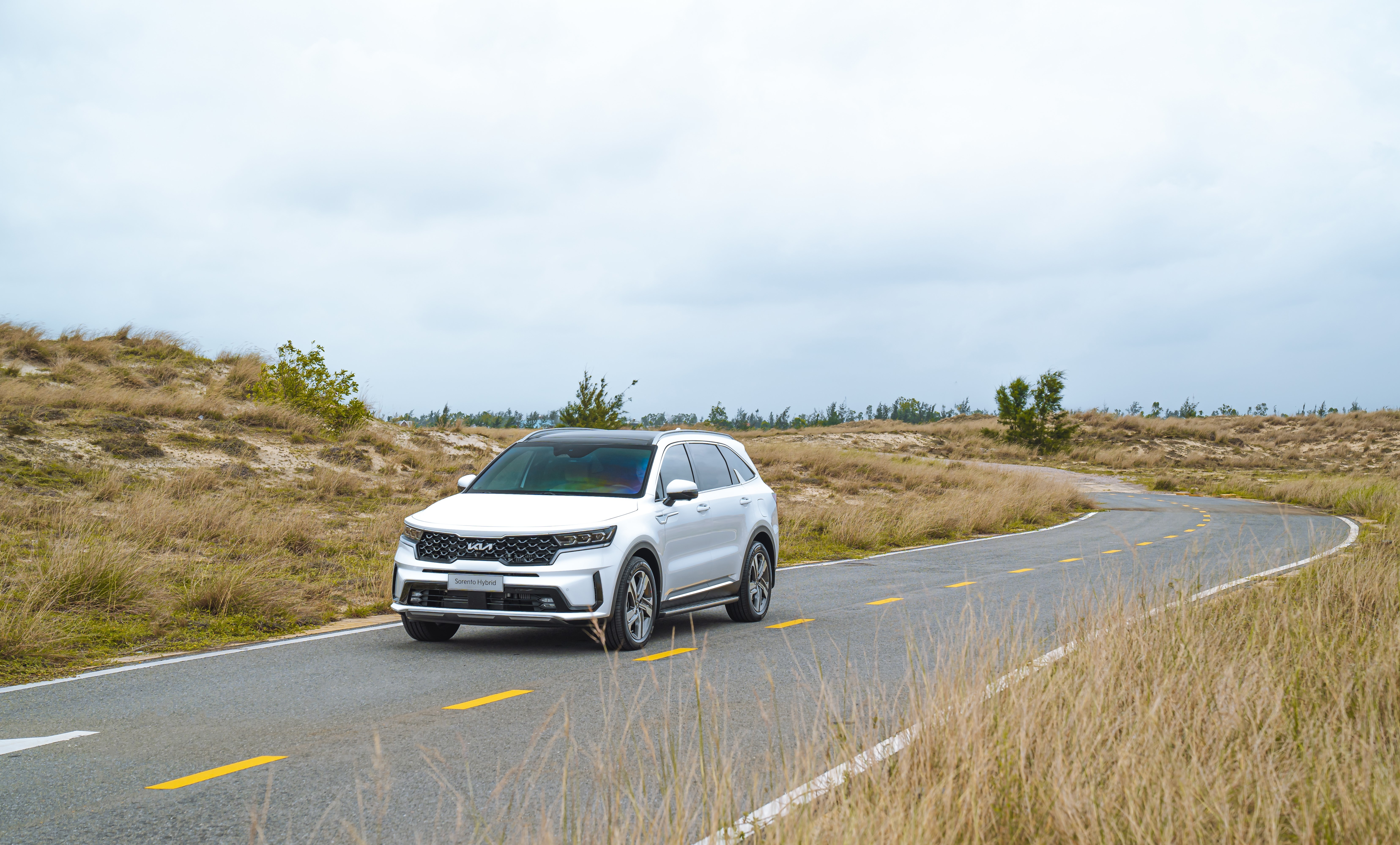Kia Sorento Hybrid ảnh 4 Kia Sorento Hybrid anh 4
