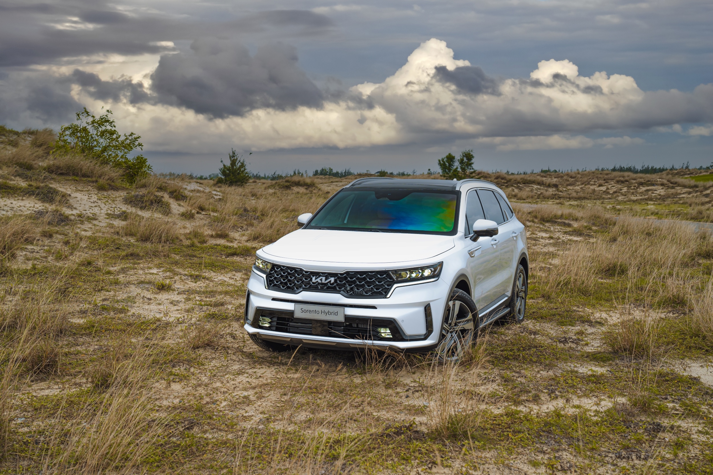 Kia Sorento Hybrid ảnh 3 Kia Sorento Hybrid anh 3