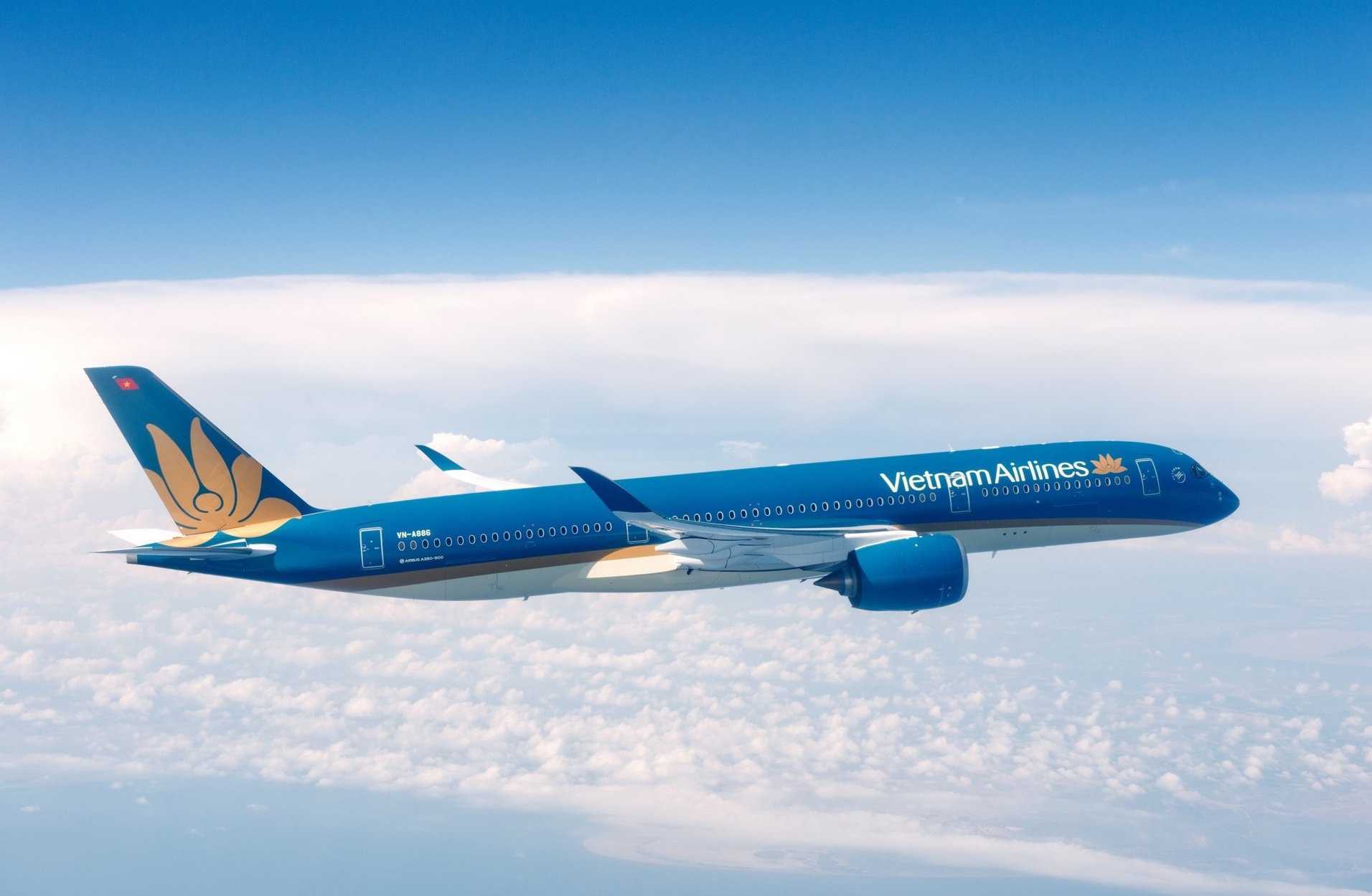Vietnam Airlines gioi thieu uu dai dac biet chao thu hinh anh