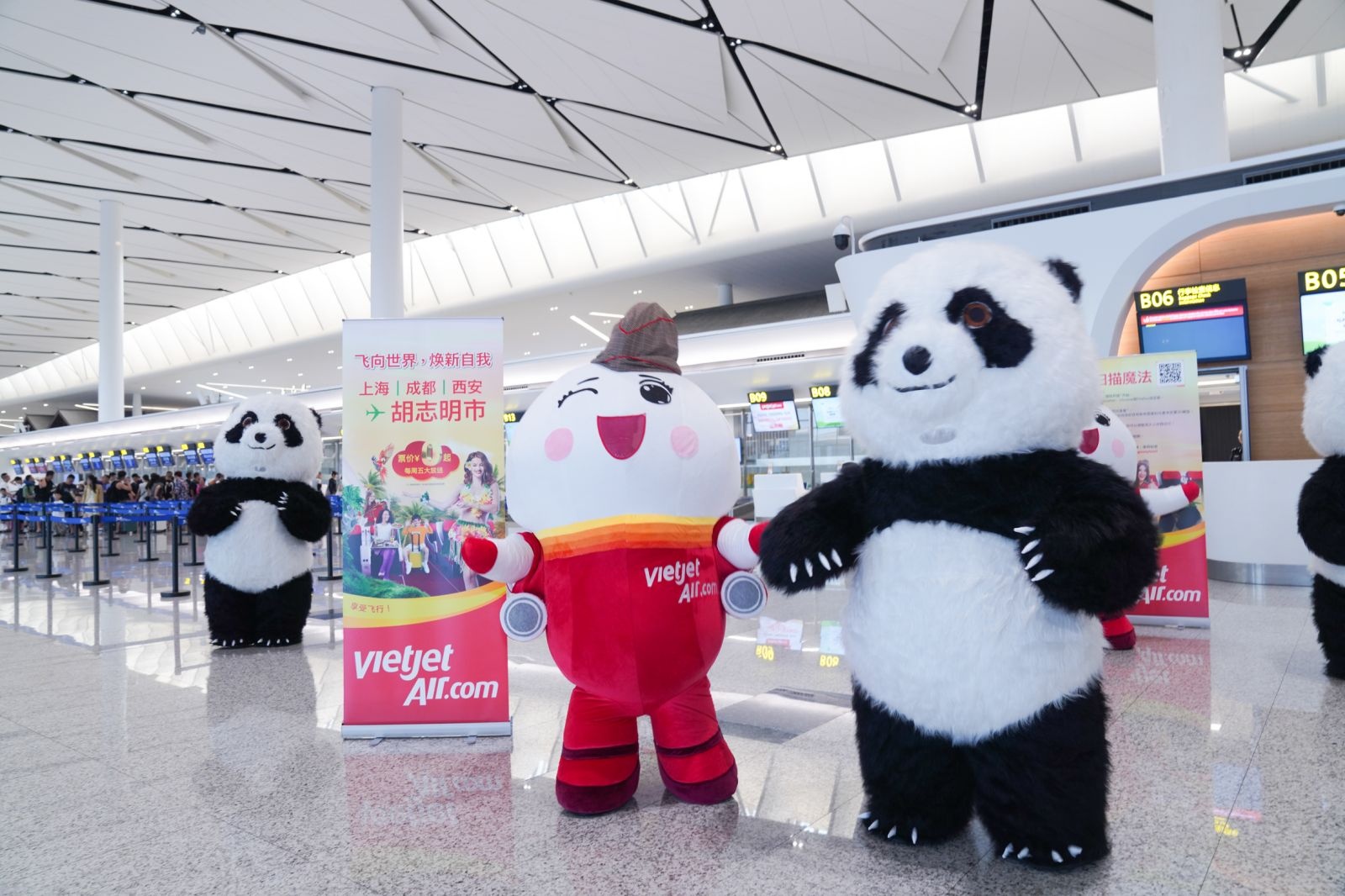 Amy Vietjet  ảnh 2 Amy Vietjet anh 2