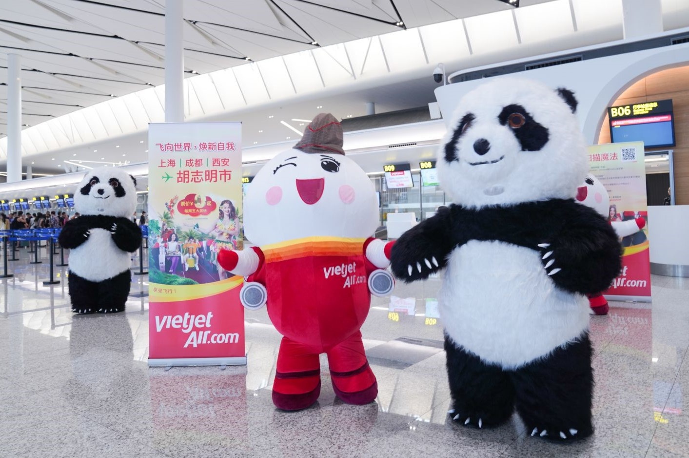 Ghe Thanh Do ngam gau truc, cung may bay Amy Vietjet don mua thu hinh anh